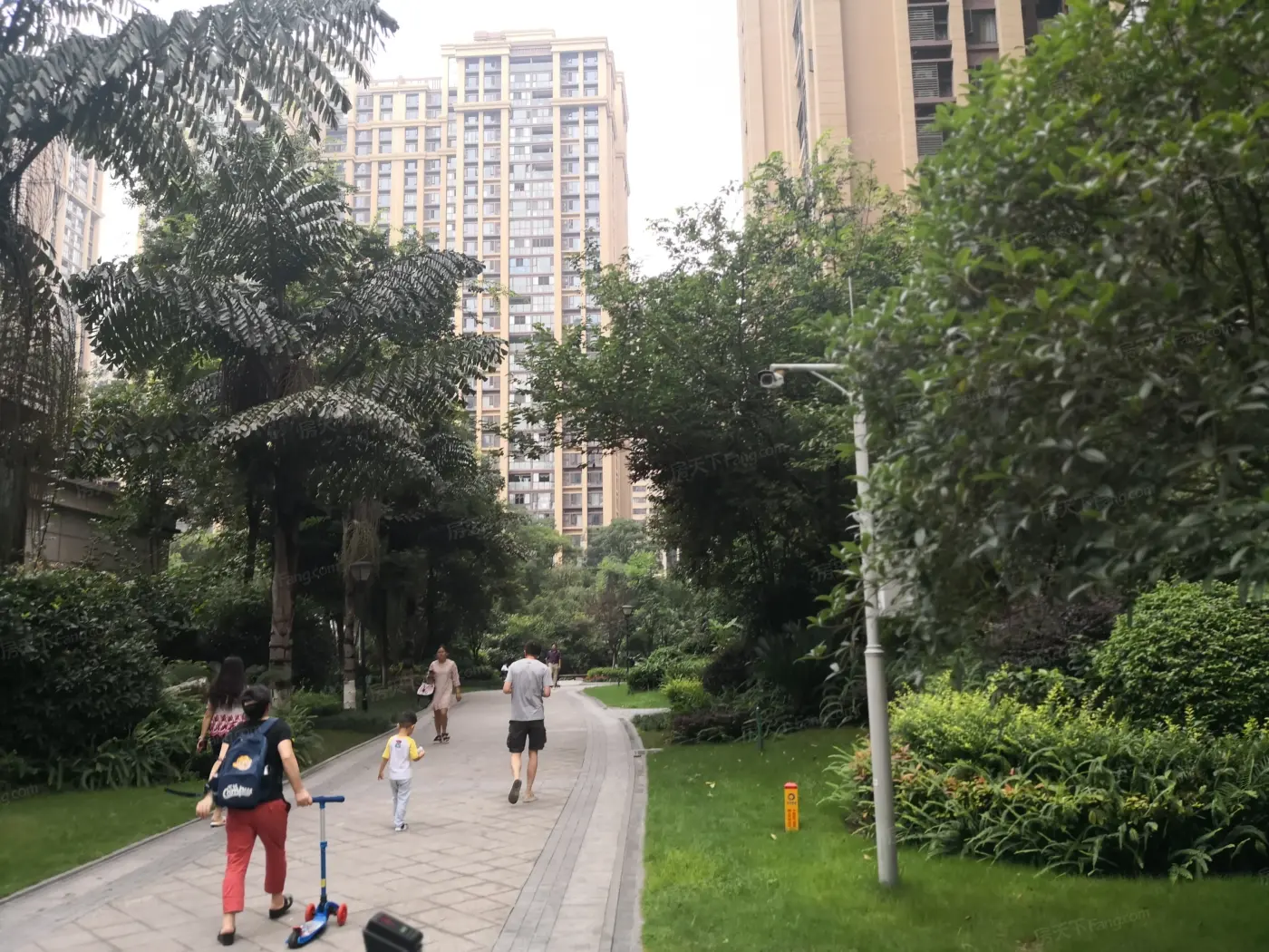 天悦府小区租房怎么样？看看这份报告就知道！