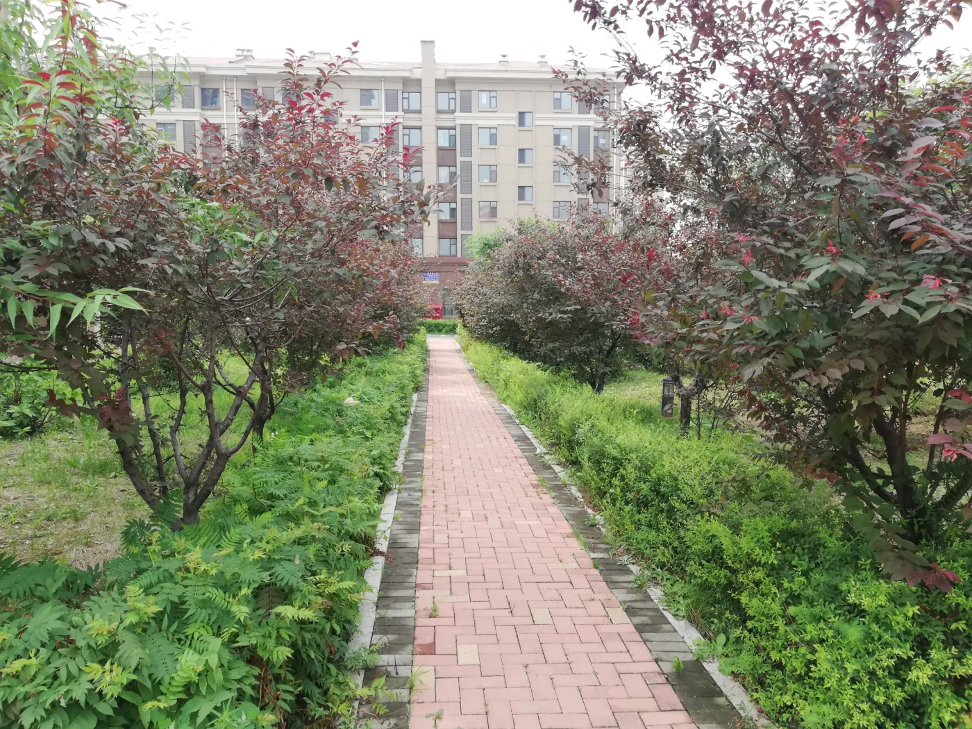 君悦豪庭实景图