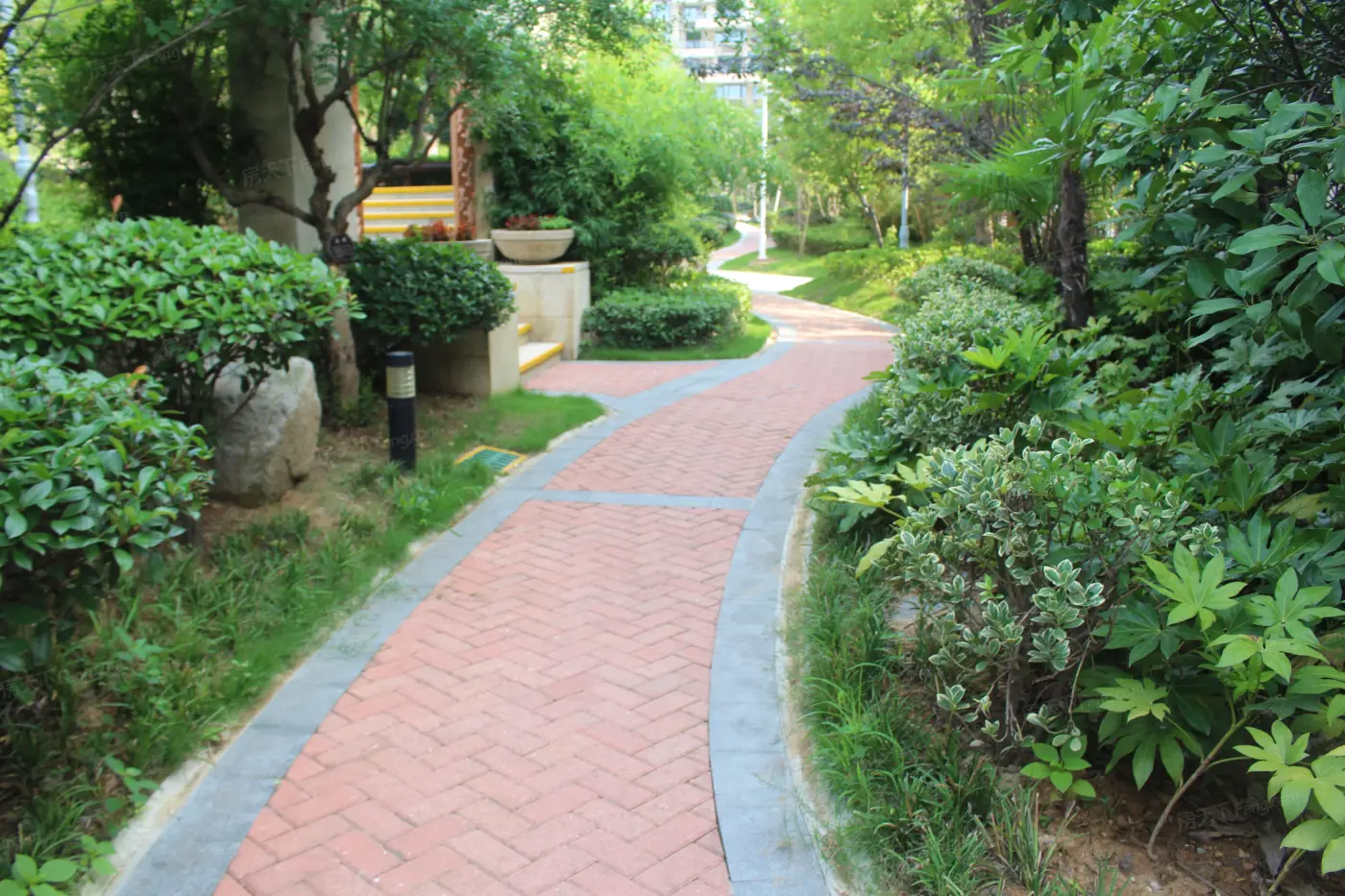 实景图:小区环境
