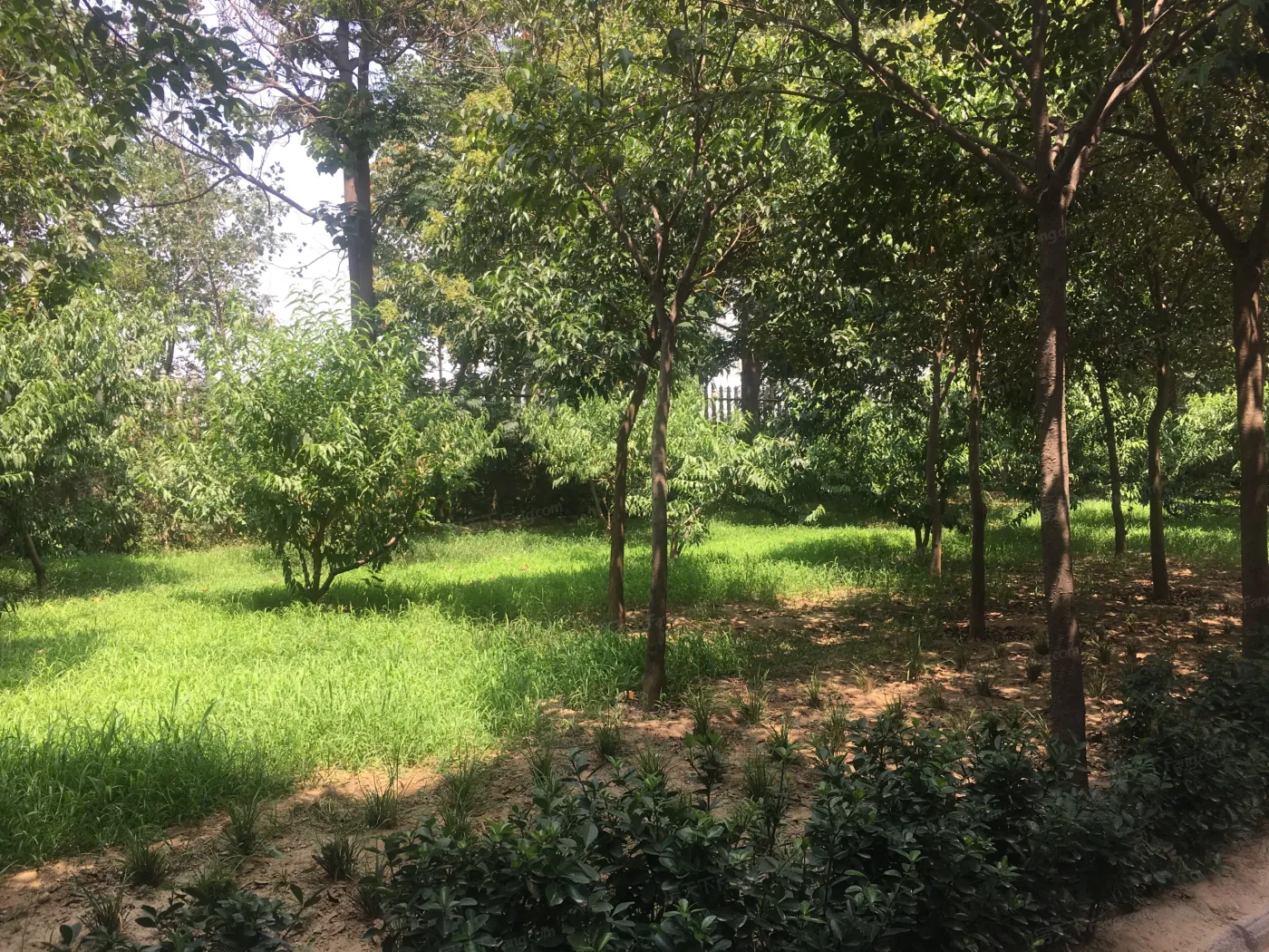 亚太花园2室2厅1卫南朝向4900.00元/月出租