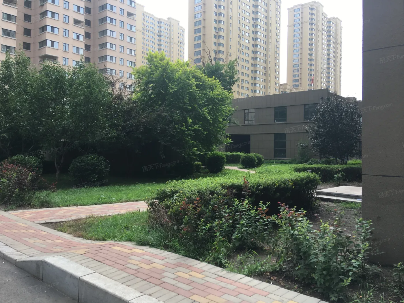 吉森春城实景图