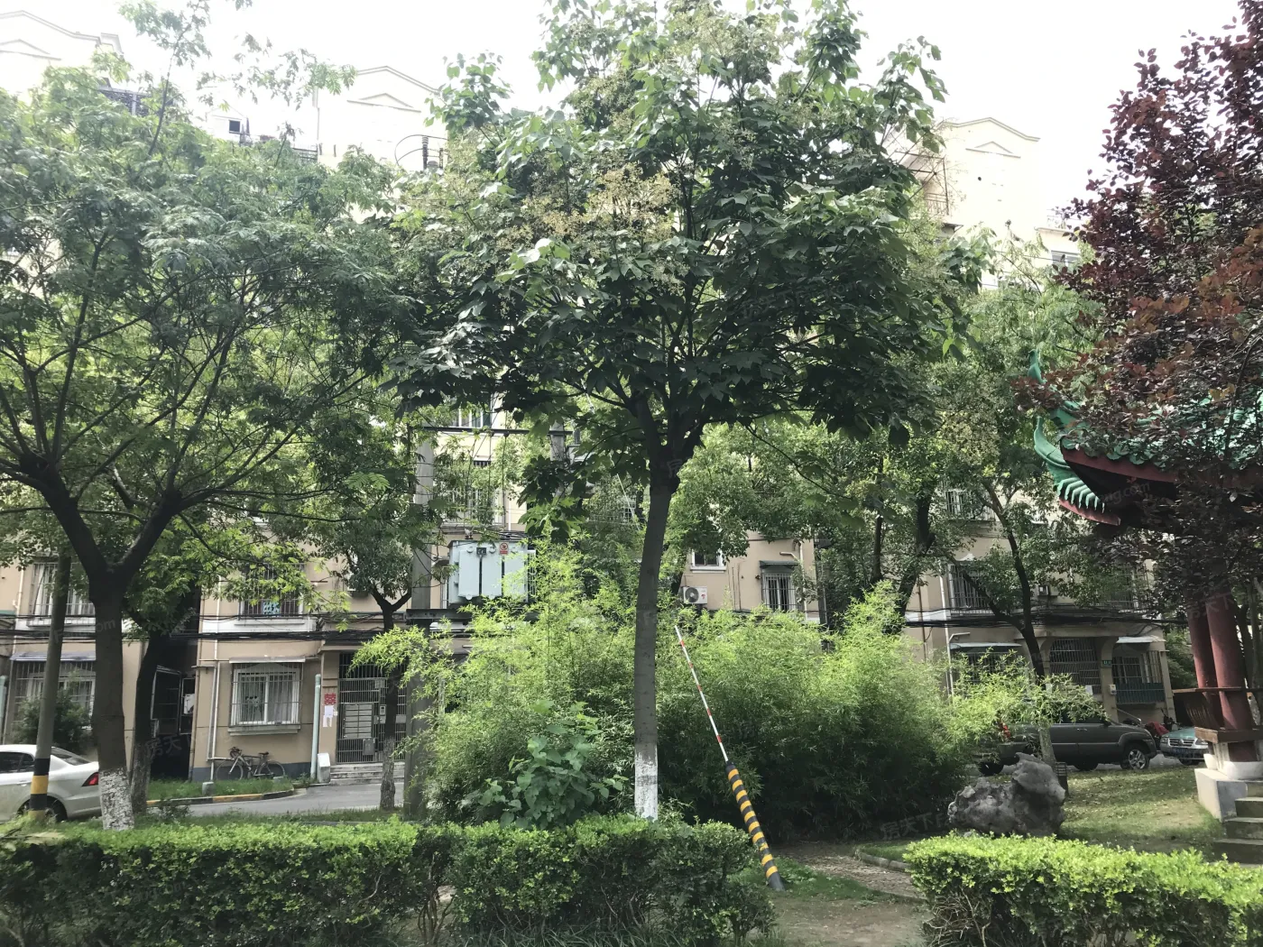静安新城四区1室1厅1卫南朝向5500.00元/月出租