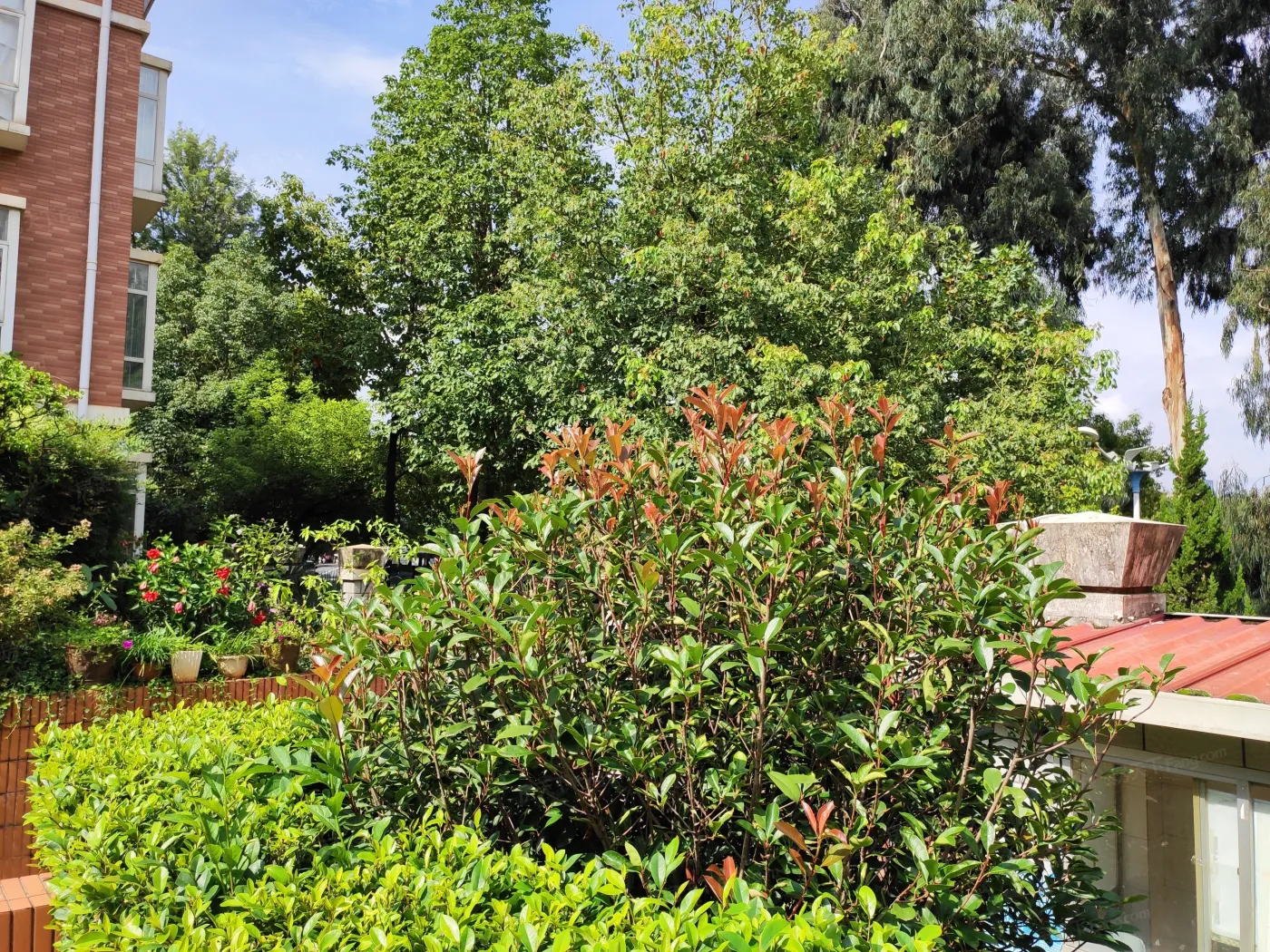 园林小区实景图