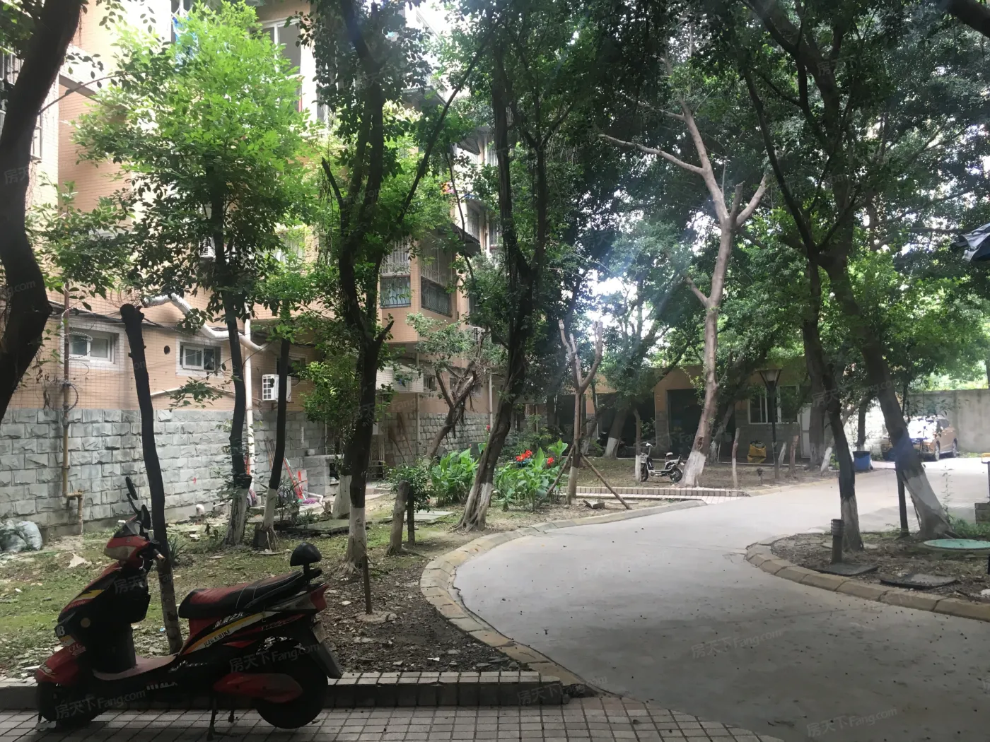 海棠名居4室1厅2卫东南朝向3300.00元/月出租