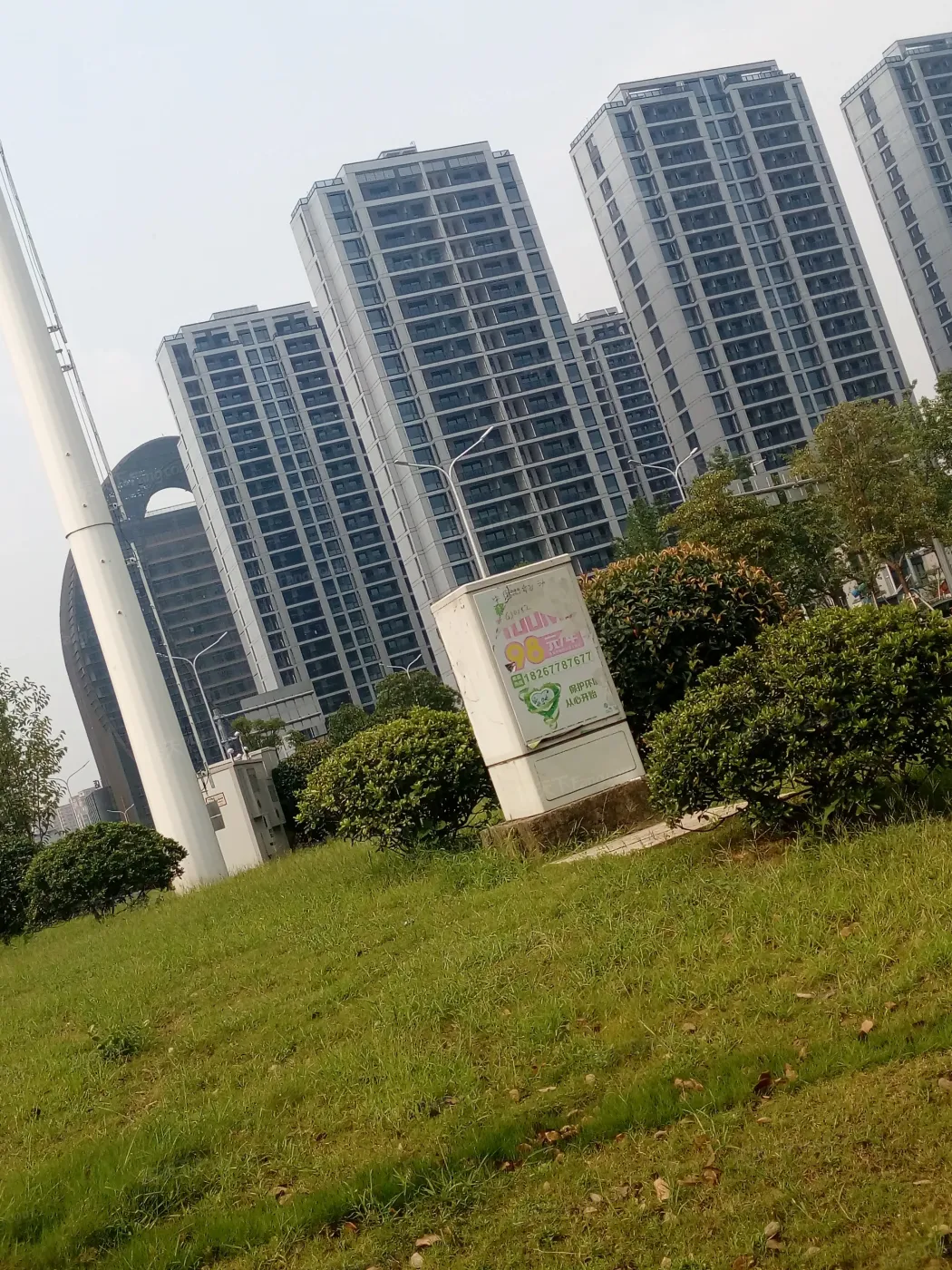 德信·大悦湾1室1卫南北朝向800.00元/月出租