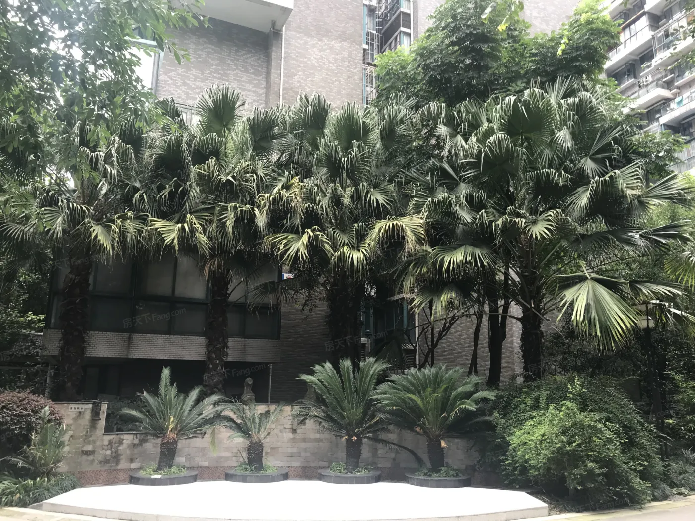 金沙愉景二期3室1厅1卫东南朝向2500.00元/月出租