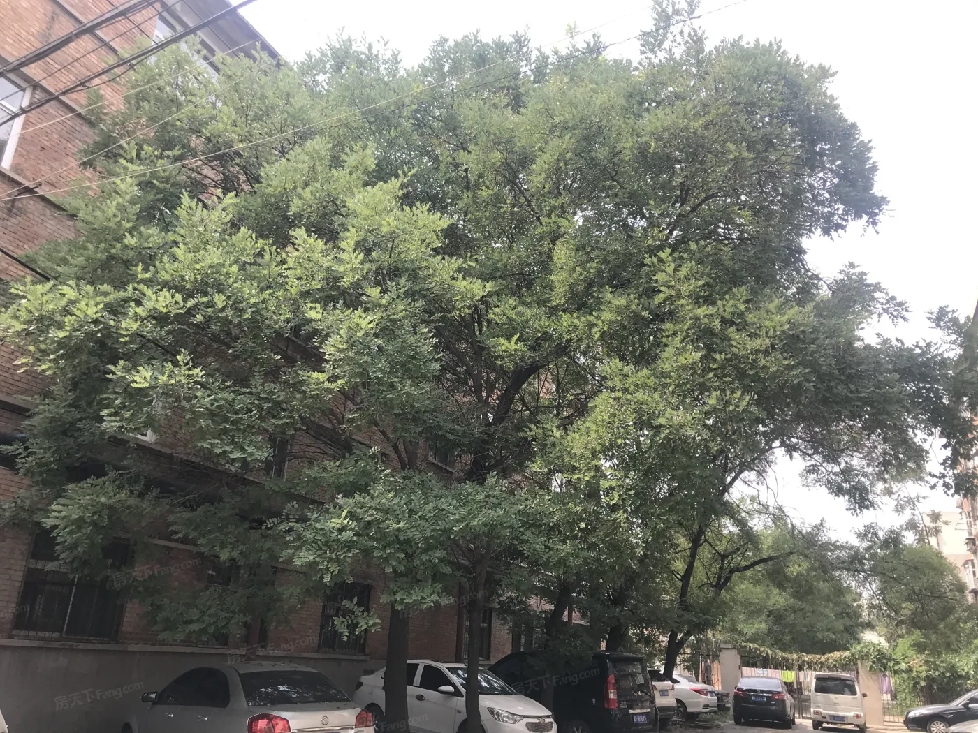 师专宿舍实景图