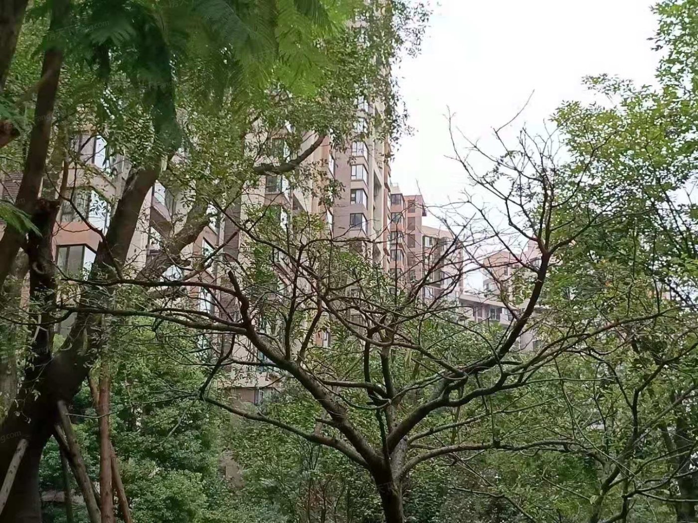 麓山国际半月湾2室2厅1卫南朝向3200.00元/月出租