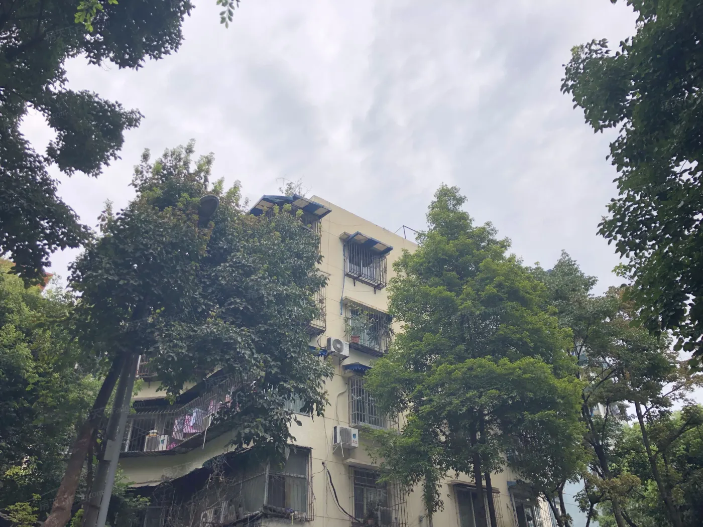 凯蒂阳光1室1卫南朝向2100.00元/月出租