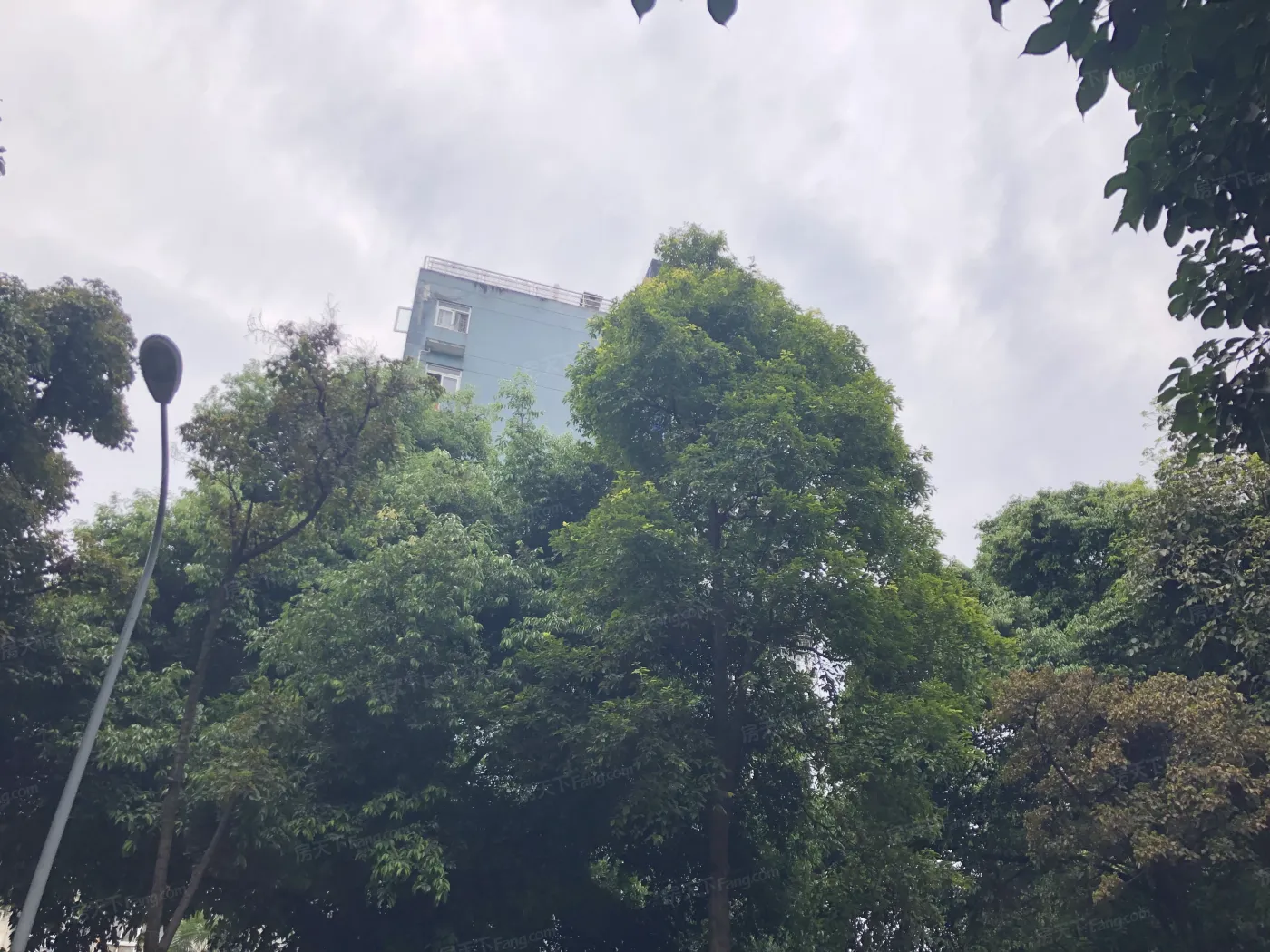 凯蒂阳光1室1厅1卫东南朝向2500.00元/月出租