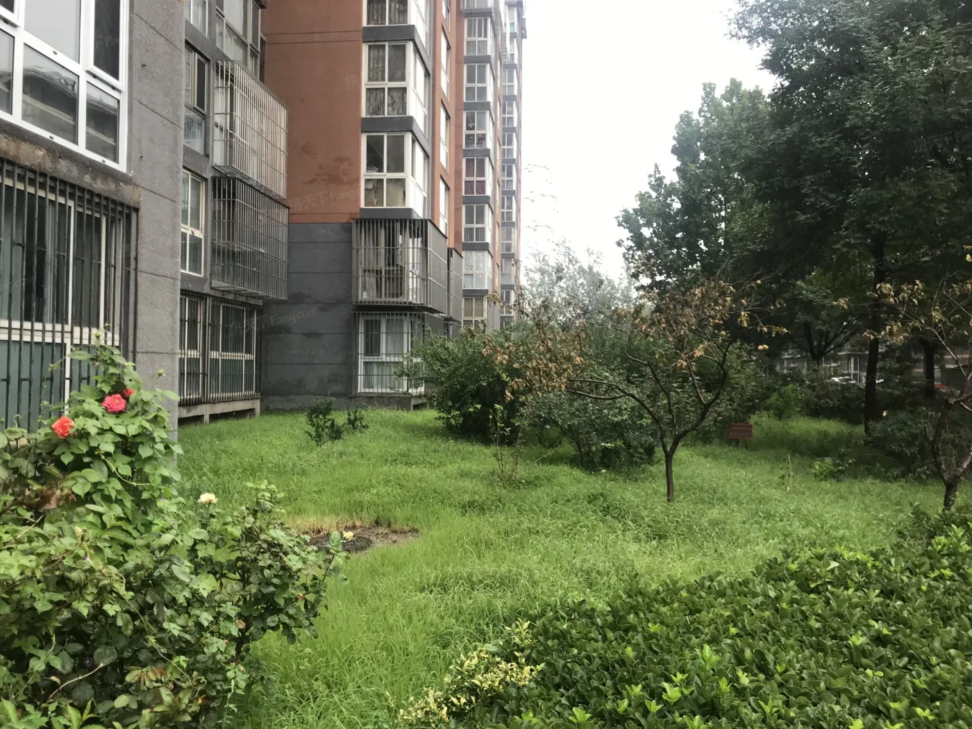 建西苑北里1室1厅1卫东南朝向4500.00元/月出租