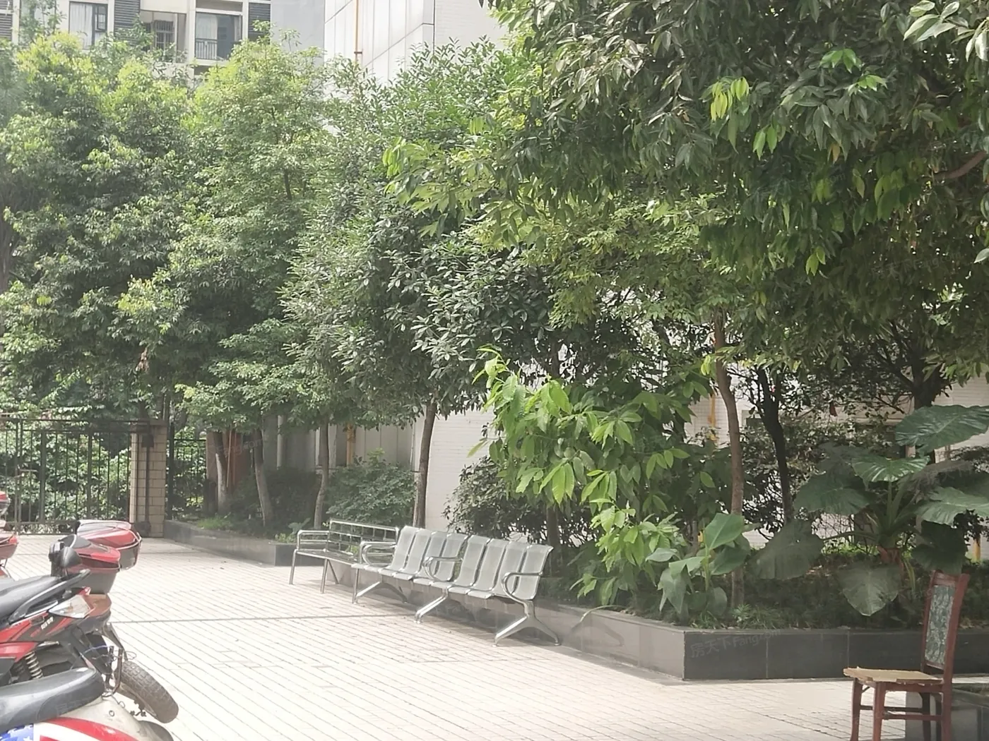 经典再现1室1厅1卫南朝向1600.00元/月出租