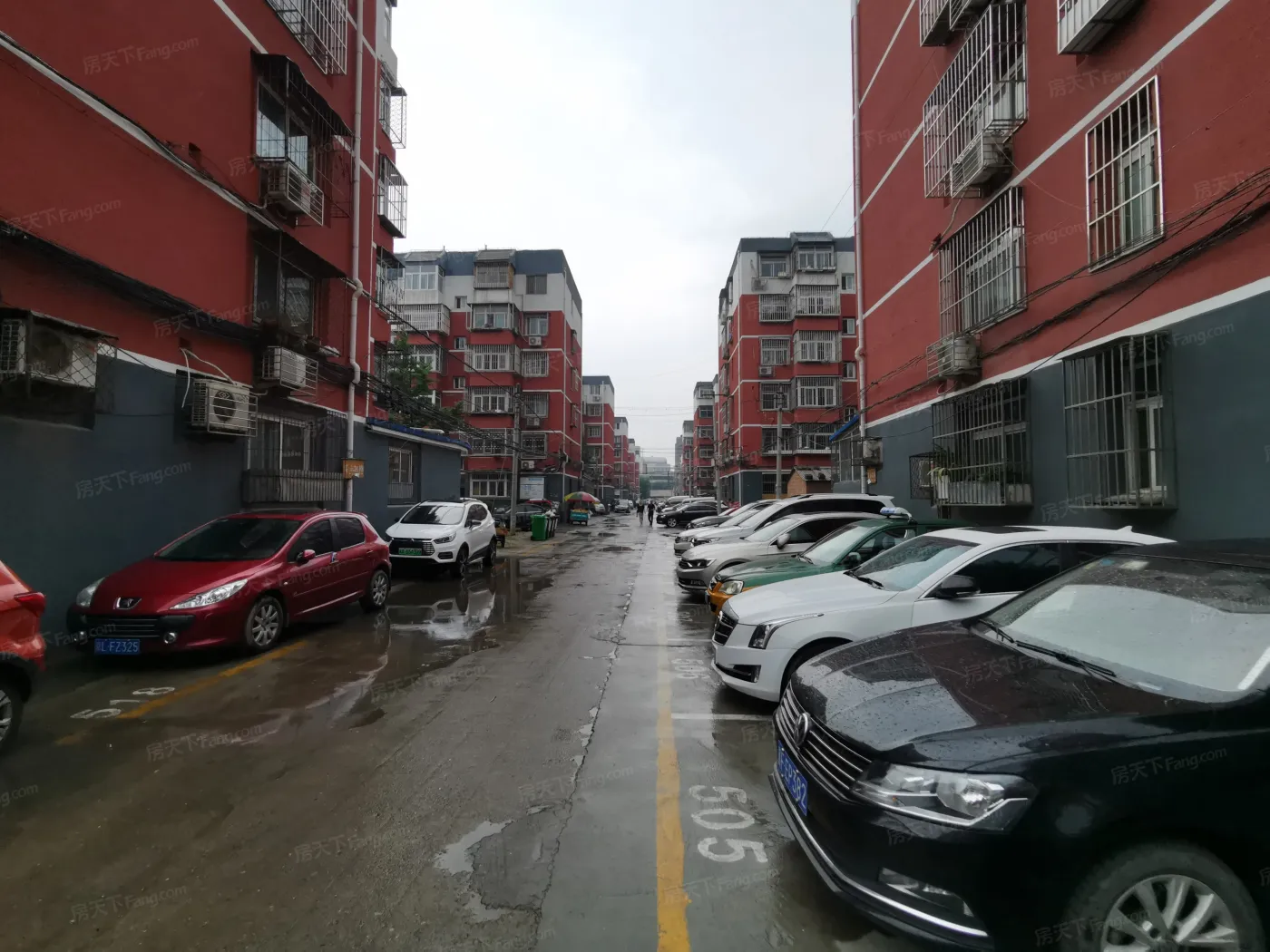长虹小区3室1厅1卫南北朝向2500.00元/月出租