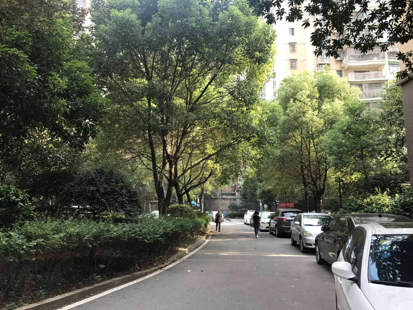 整租·佳阳悦景馨都 3室2厅 南