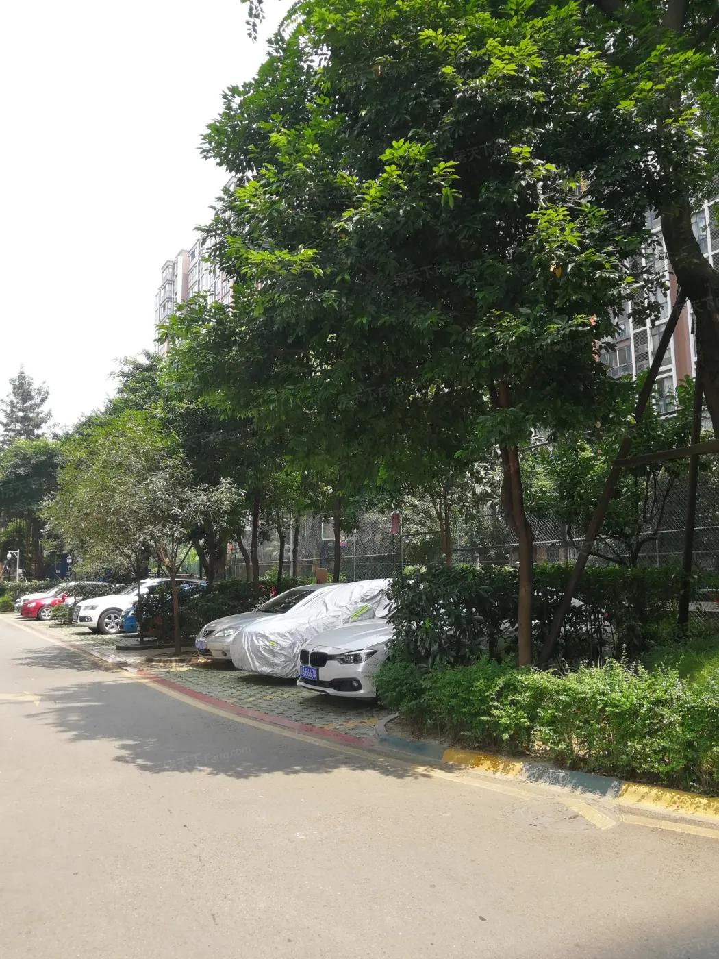 锦丽华庭2室1厅1卫东南朝向2100.00元/月出租