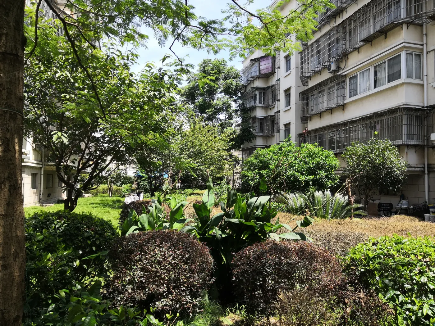 整租·中兴小区(镇海区)2室2厅