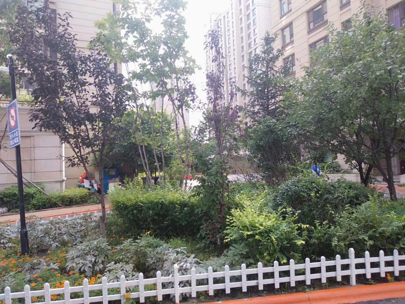 保利拉菲公馆实景图