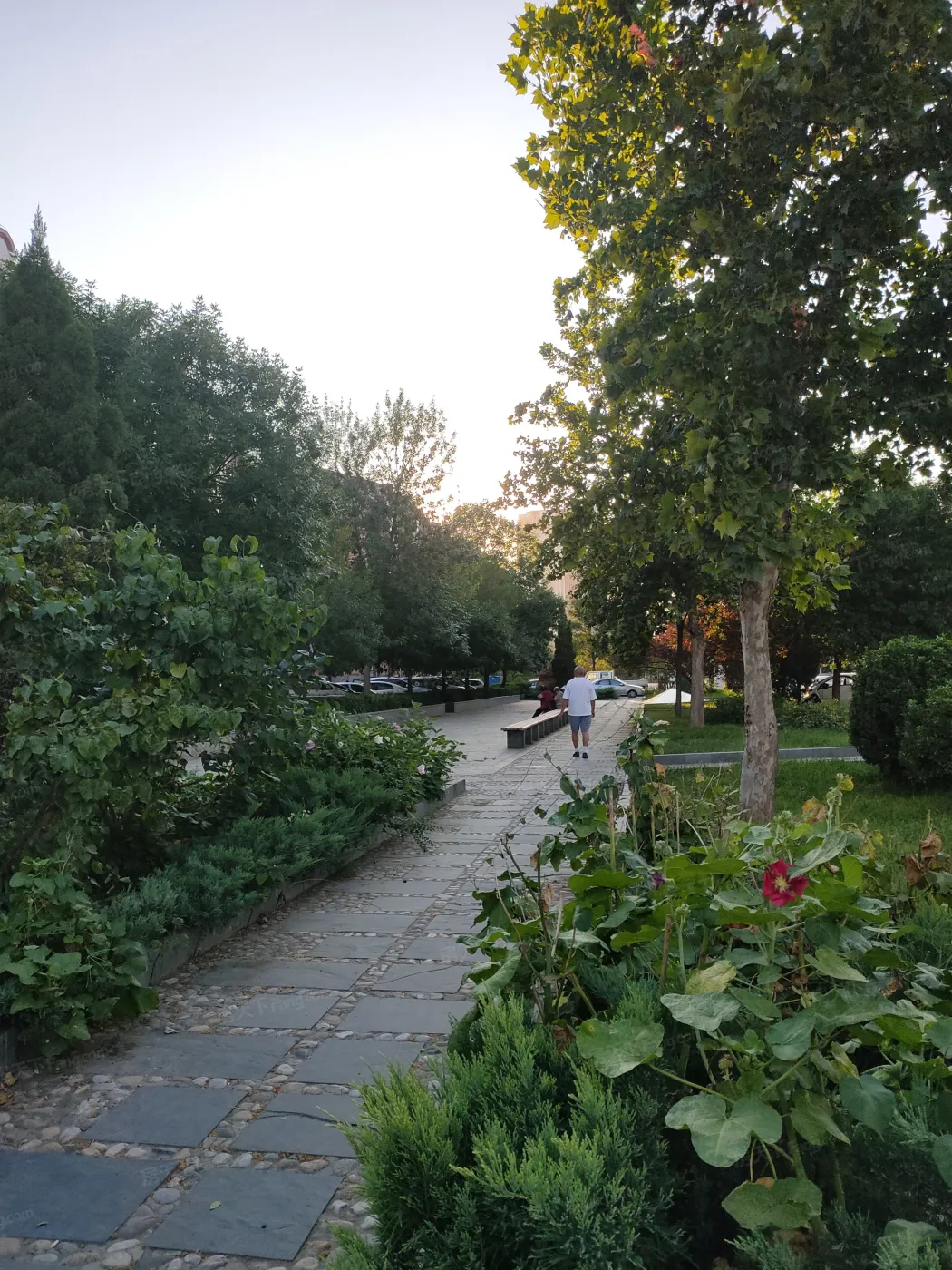 建华小区实景图