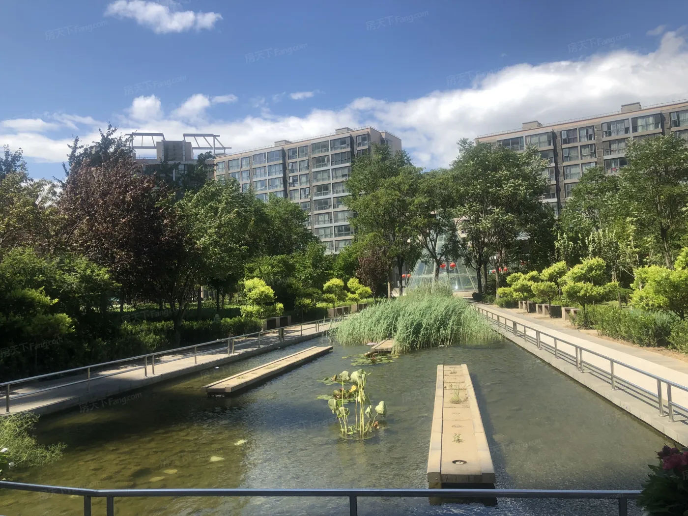 金隅国际实景图