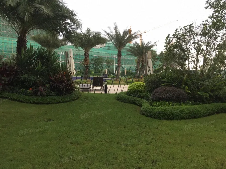 实景图:园林实景图