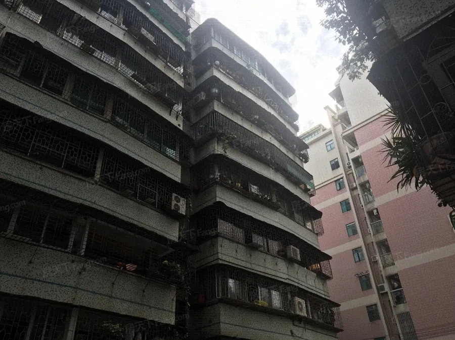金澜北路小区2室2厅1卫北朝向1200.00元/月出租
