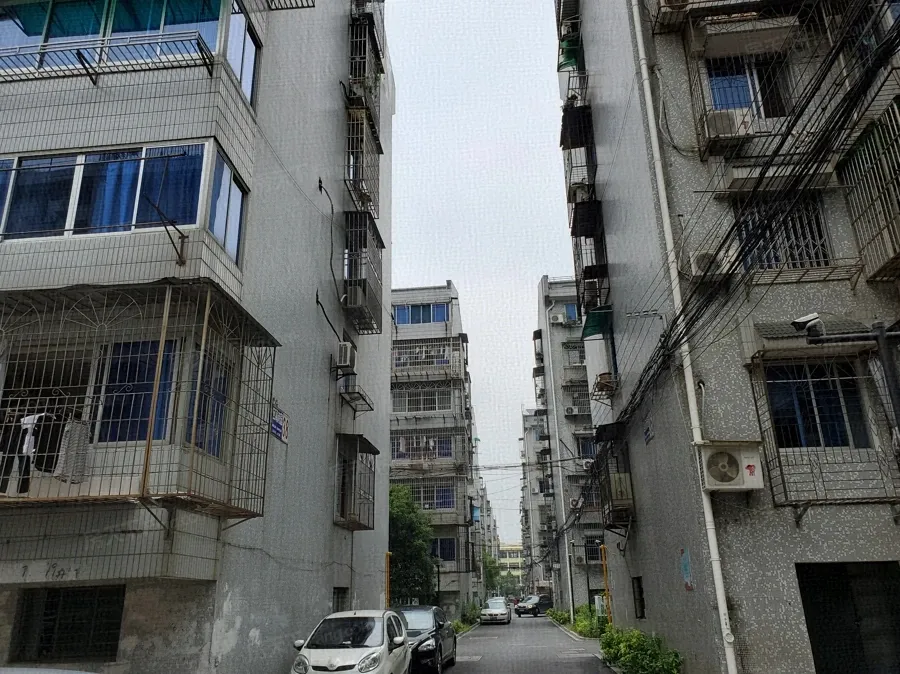回澜南苑3室1厅1卫南朝向3100.00元/月出租
