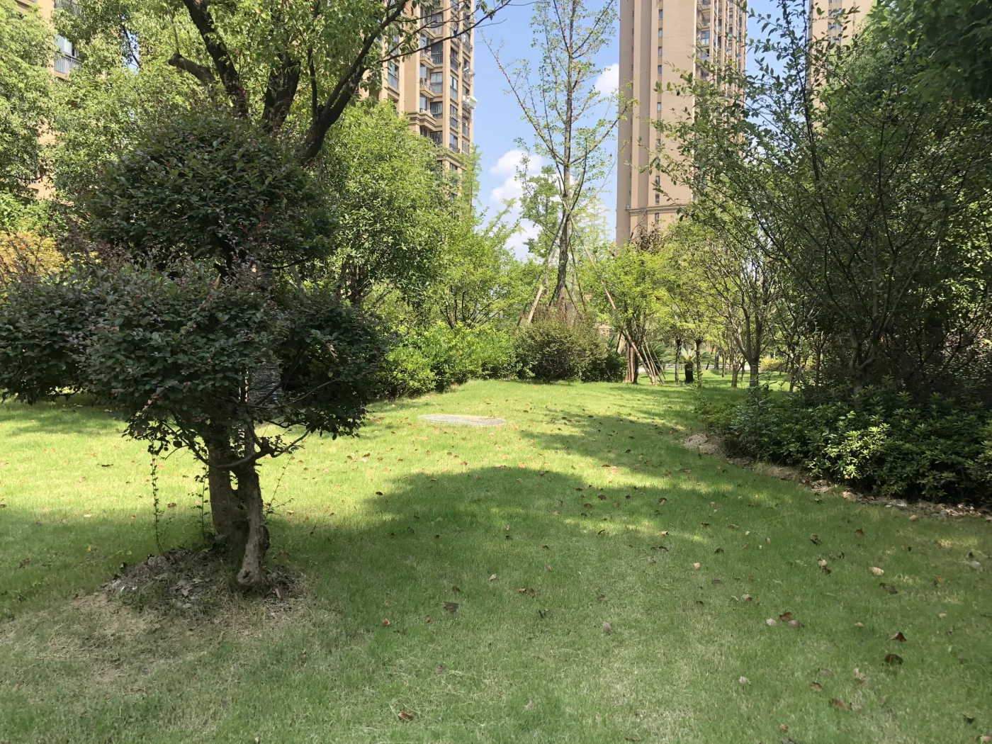 丽象佳苑实景图
