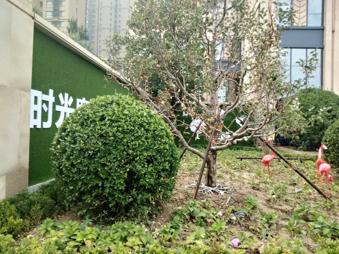 整租·哈罗城西区 3室1厅 南/北