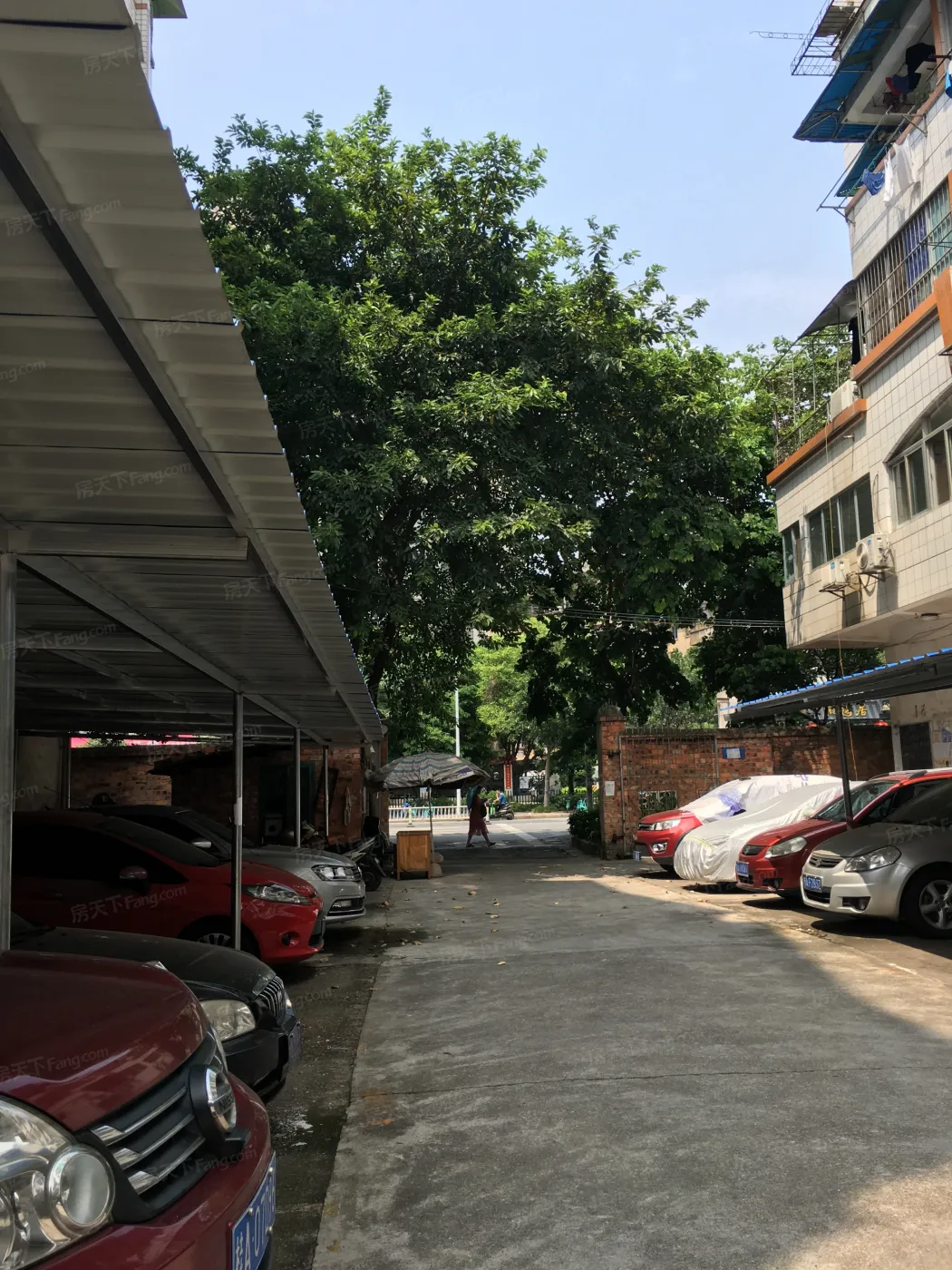 一心药业公司宿舍3室2厅2卫西南朝向1300.00元/月出租