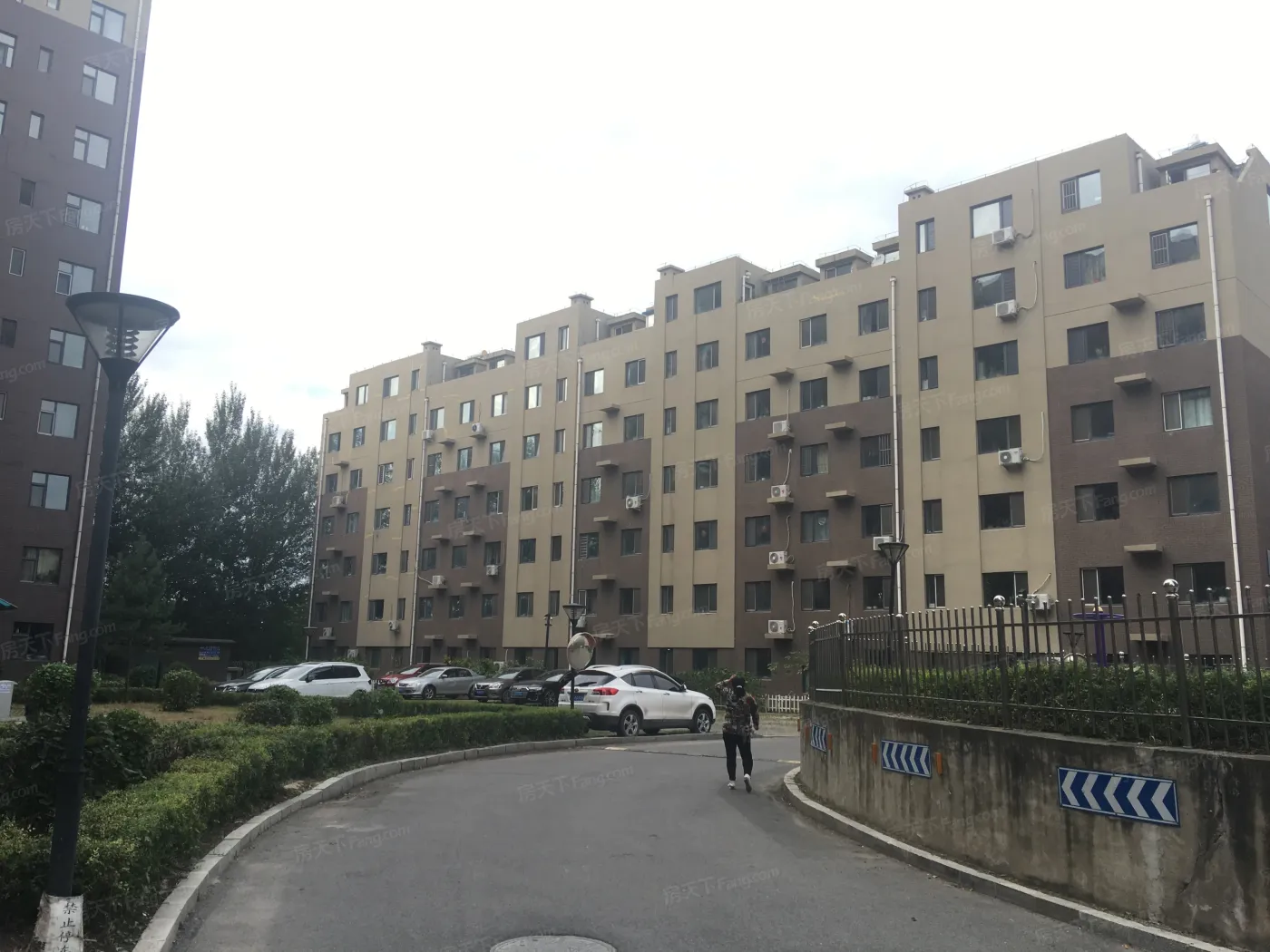 青林湖畔实景图