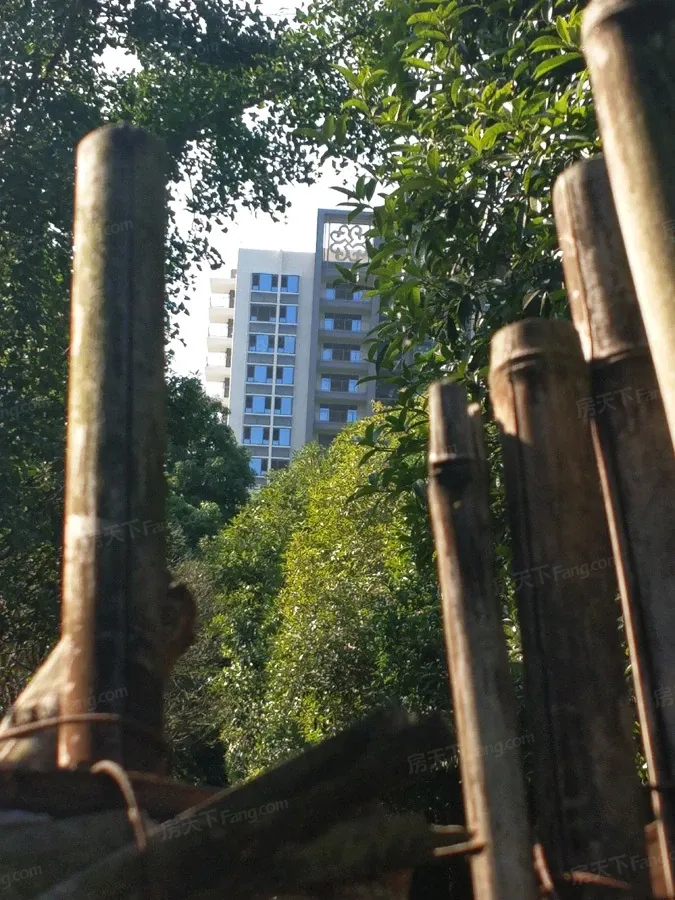 万和嘉苑5室2厅2卫西南朝向2000.00元/月出租