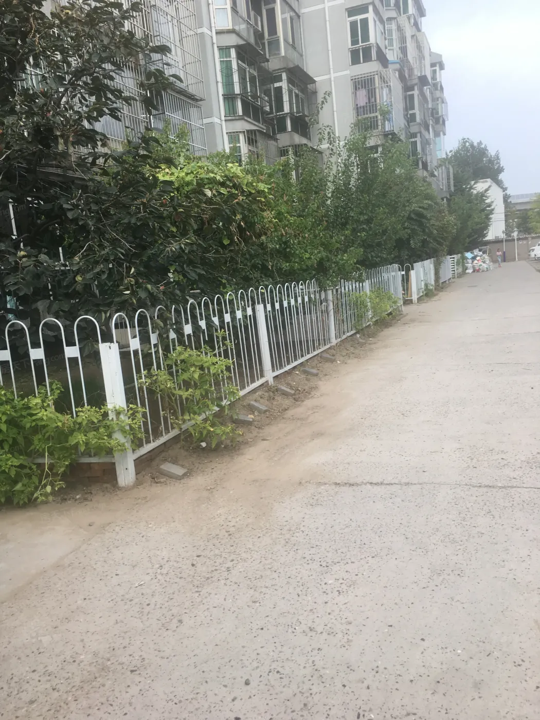 义和庄东里3室2厅2卫南北朝向3200.00元/月出租
