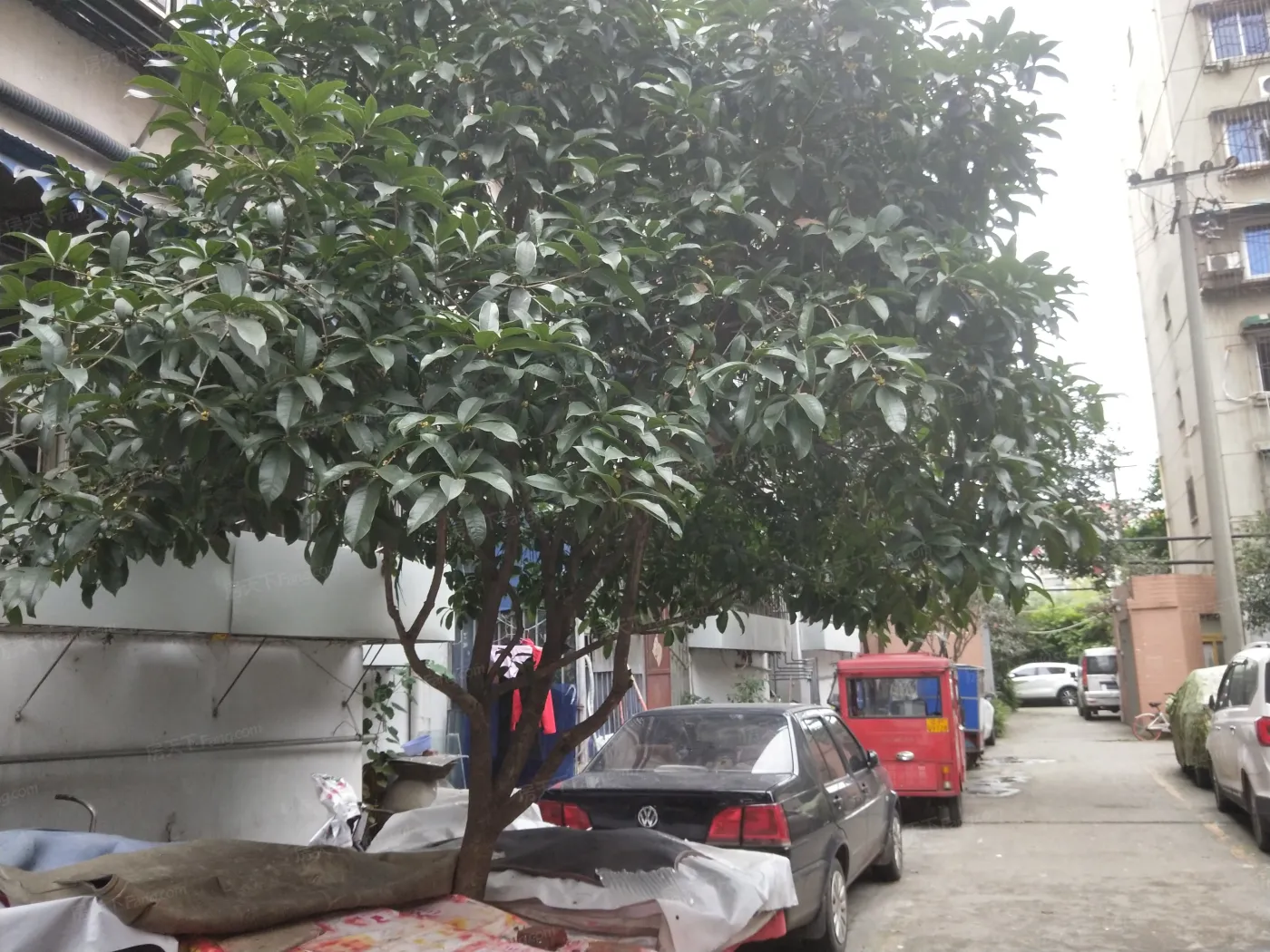 红牌楼北街6号院1室1厅1卫东南朝向1700.00元/月出租