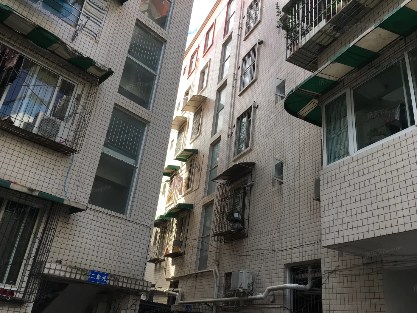 洪欣苑实景图