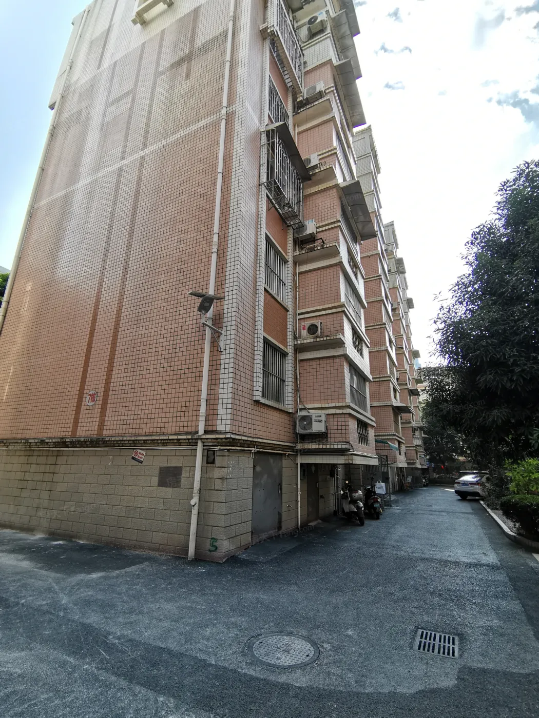 烟草公司埌东宿舍3室2厅1卫南朝向1800.00元/月出租