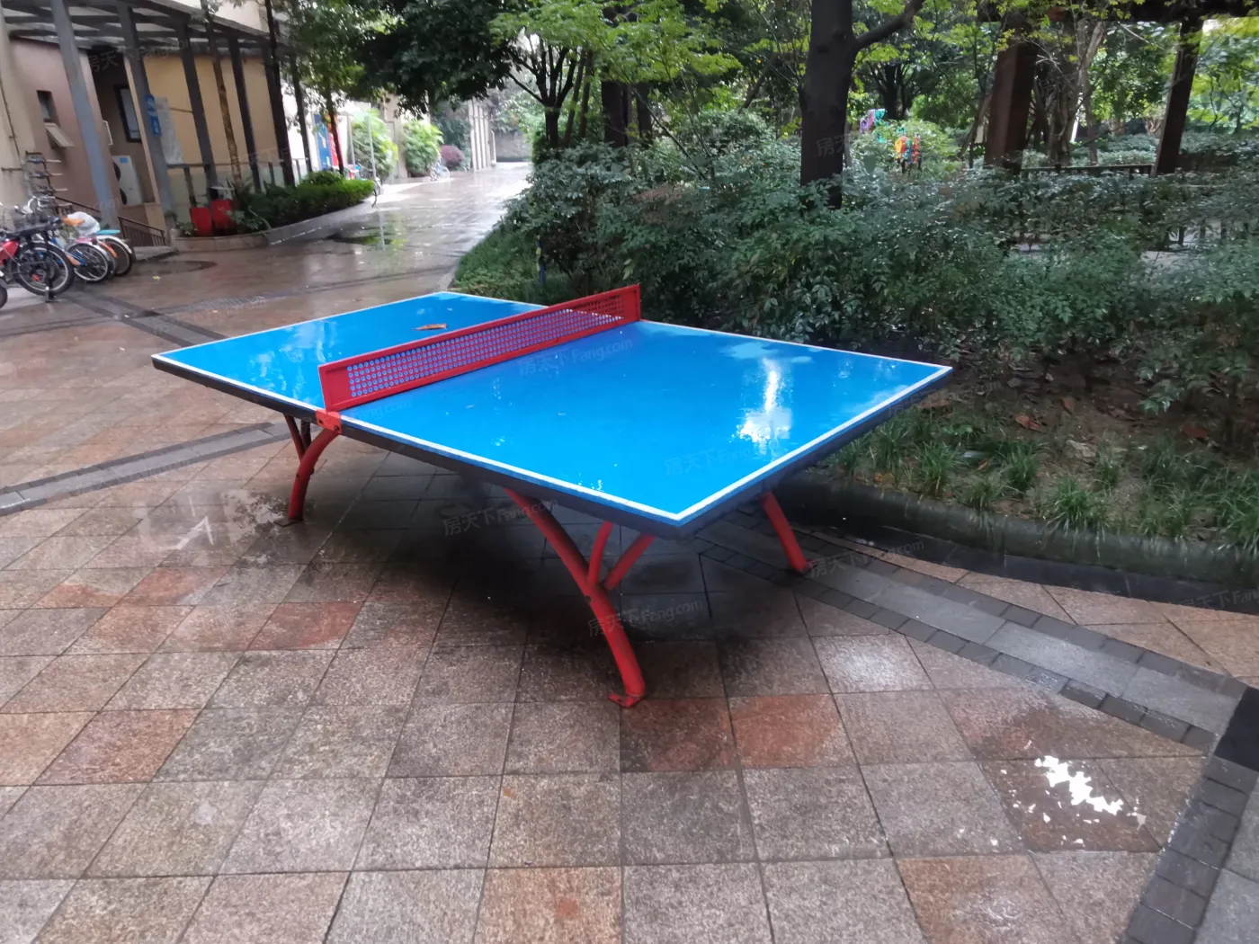 双楠锐派2室1厅1卫南朝向2400.00元/月出租