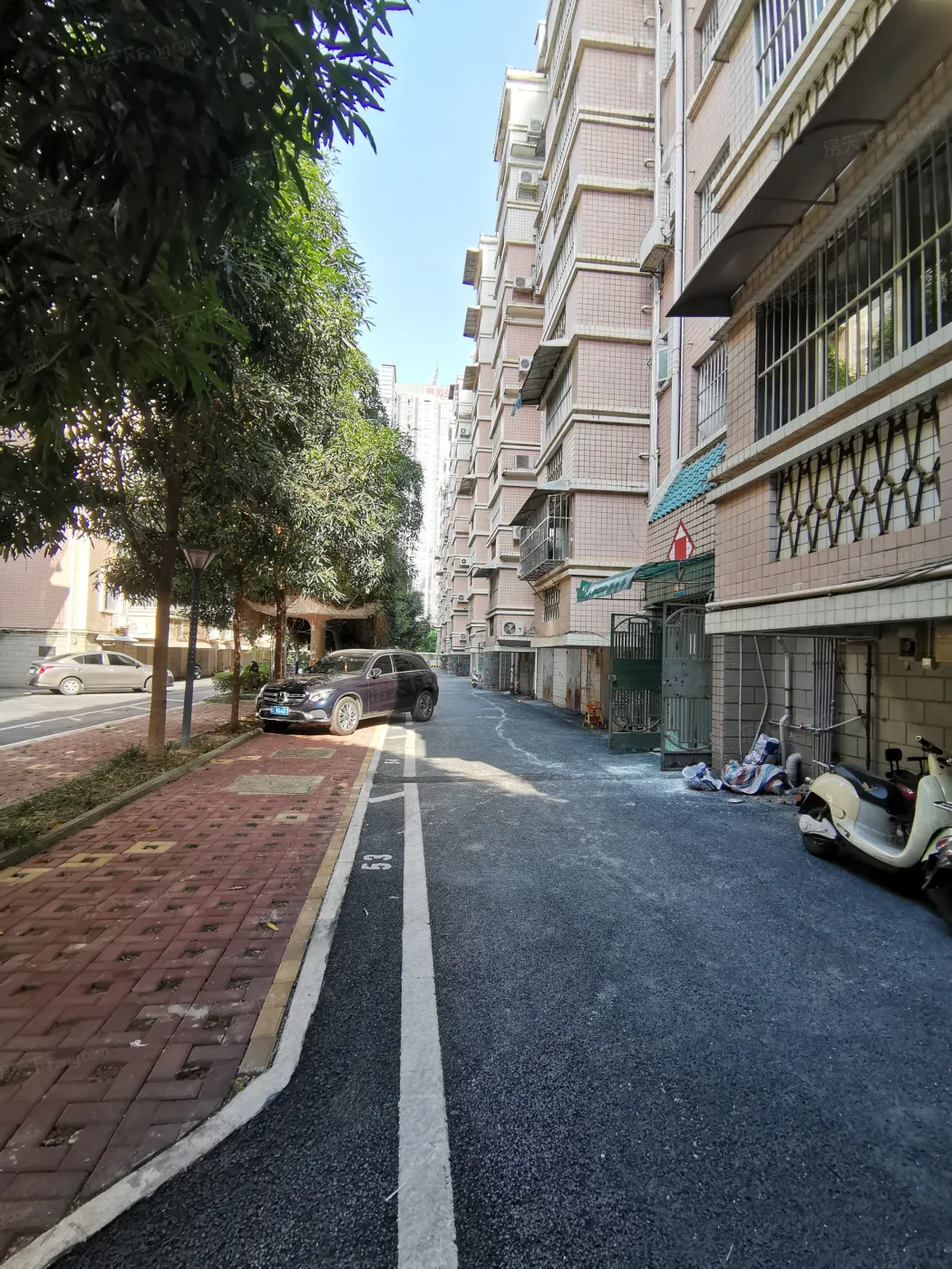 烟草公司埌东宿舍3室1厅1卫东南朝向1600.00元/月出租