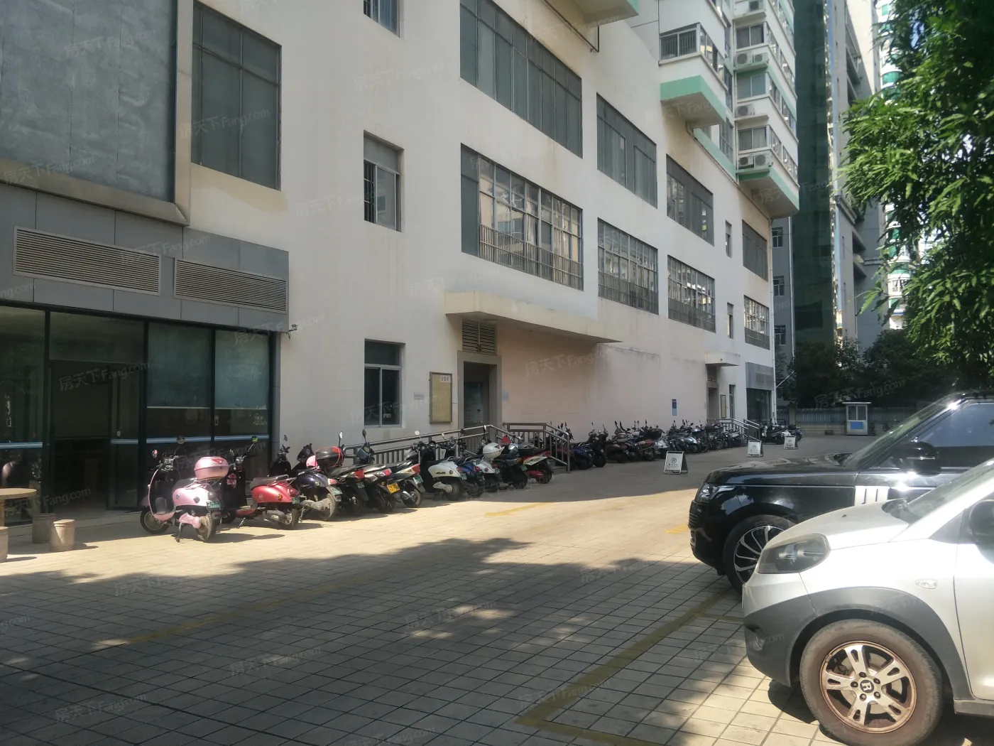 发改委宿舍(金州路)4室2厅2卫南朝向3300.00元/月出租