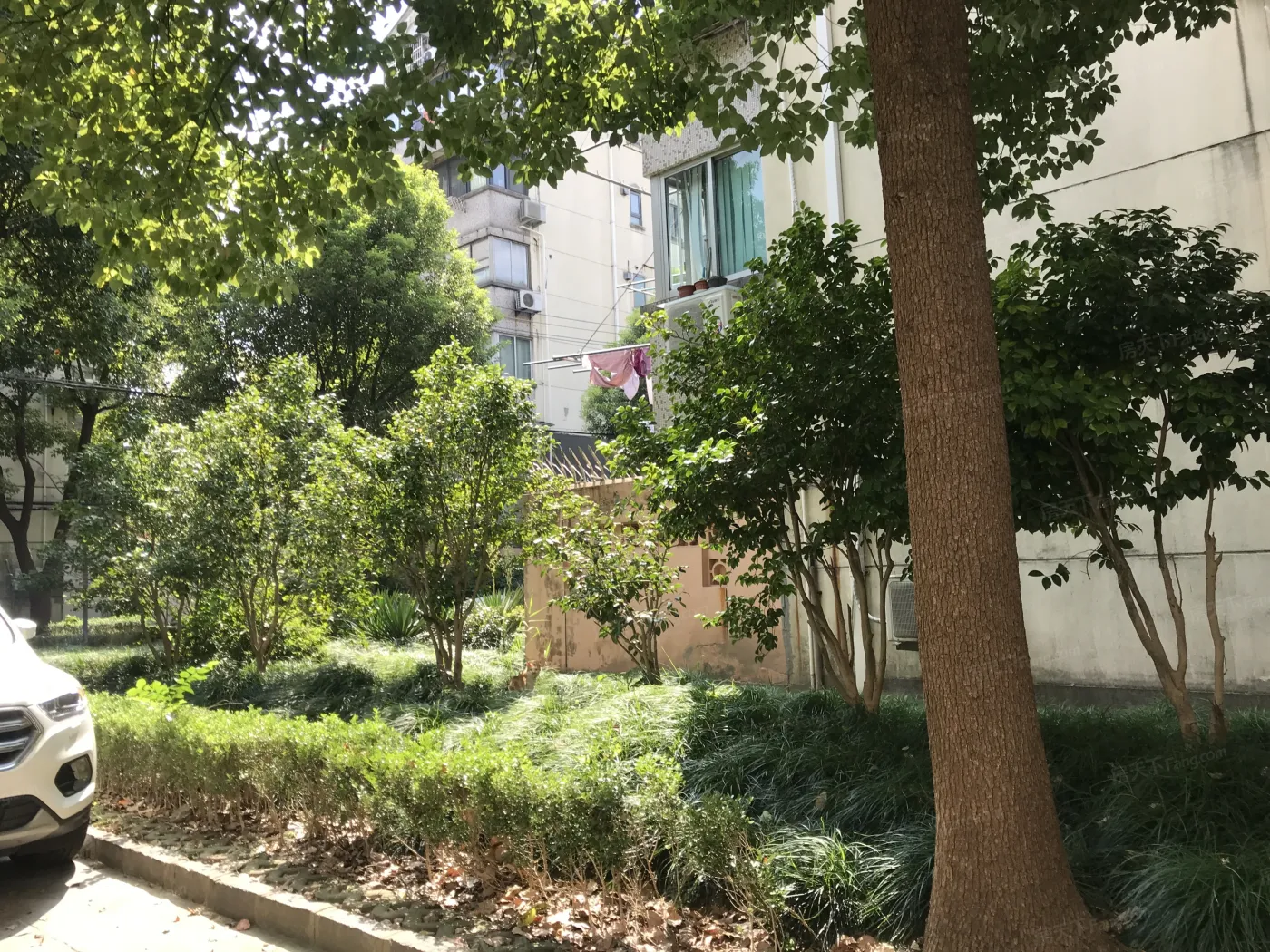 甘泉新村3室1厅1卫南朝向6200.00元/月出租