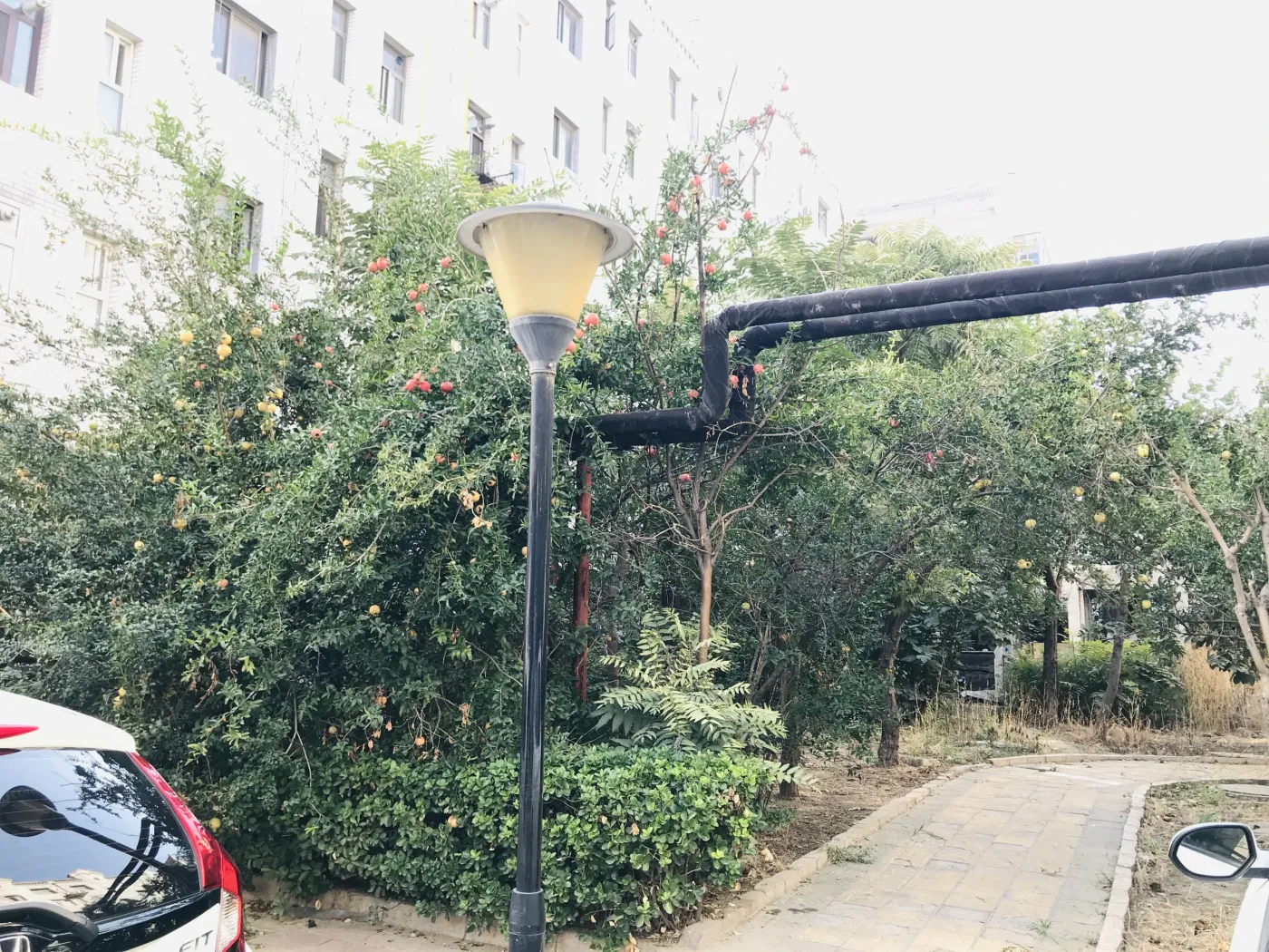 整租·永华园小区2室1厅