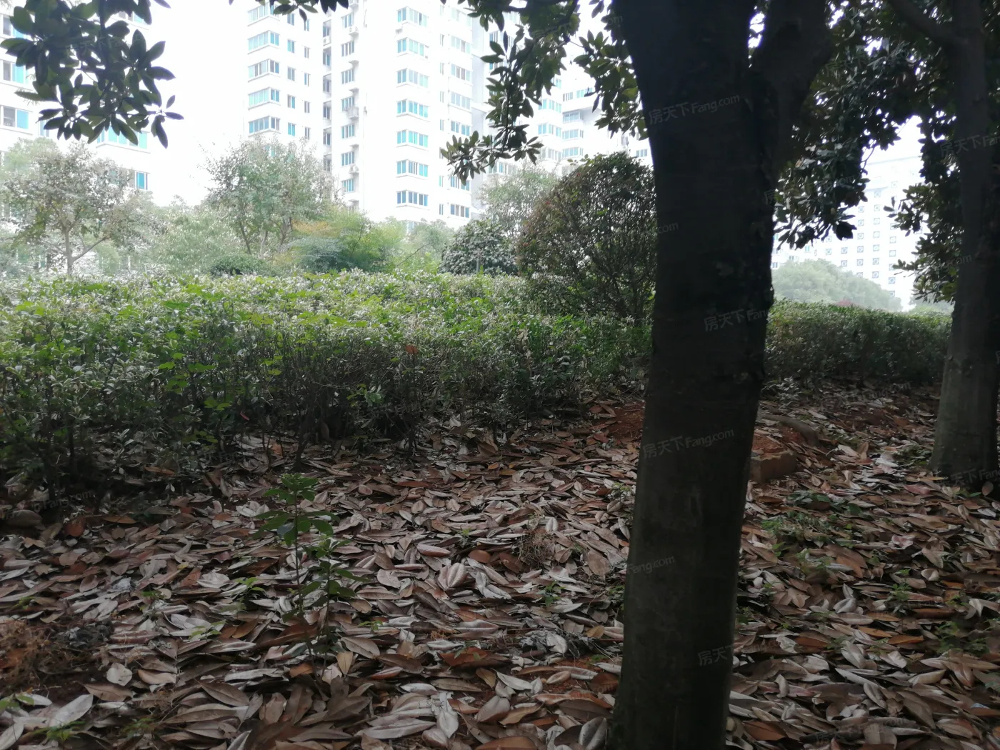 金邮小区3室2厅2卫南北朝向2600.00元/月出租