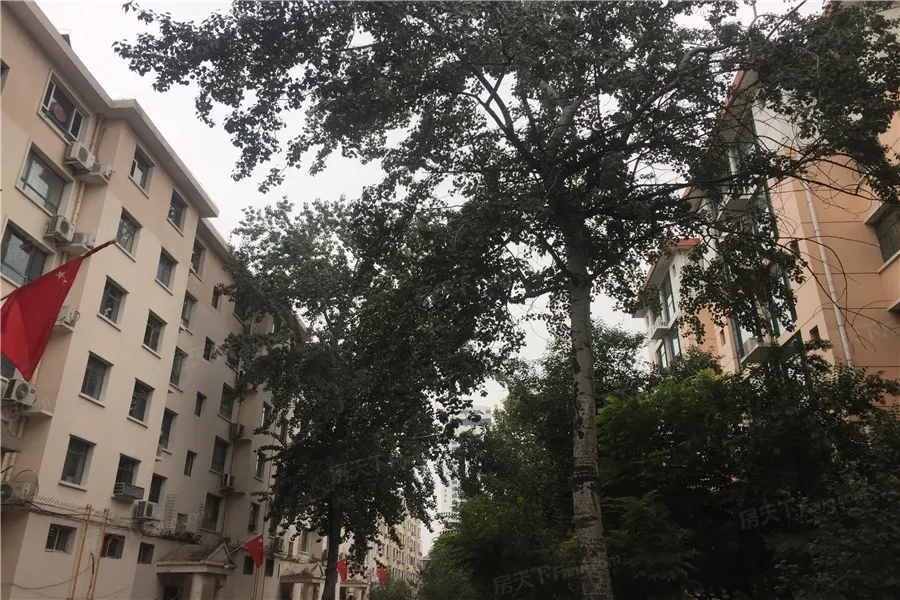 市医保中心宿舍3室2厅2卫南北朝向2400.00元/月出租