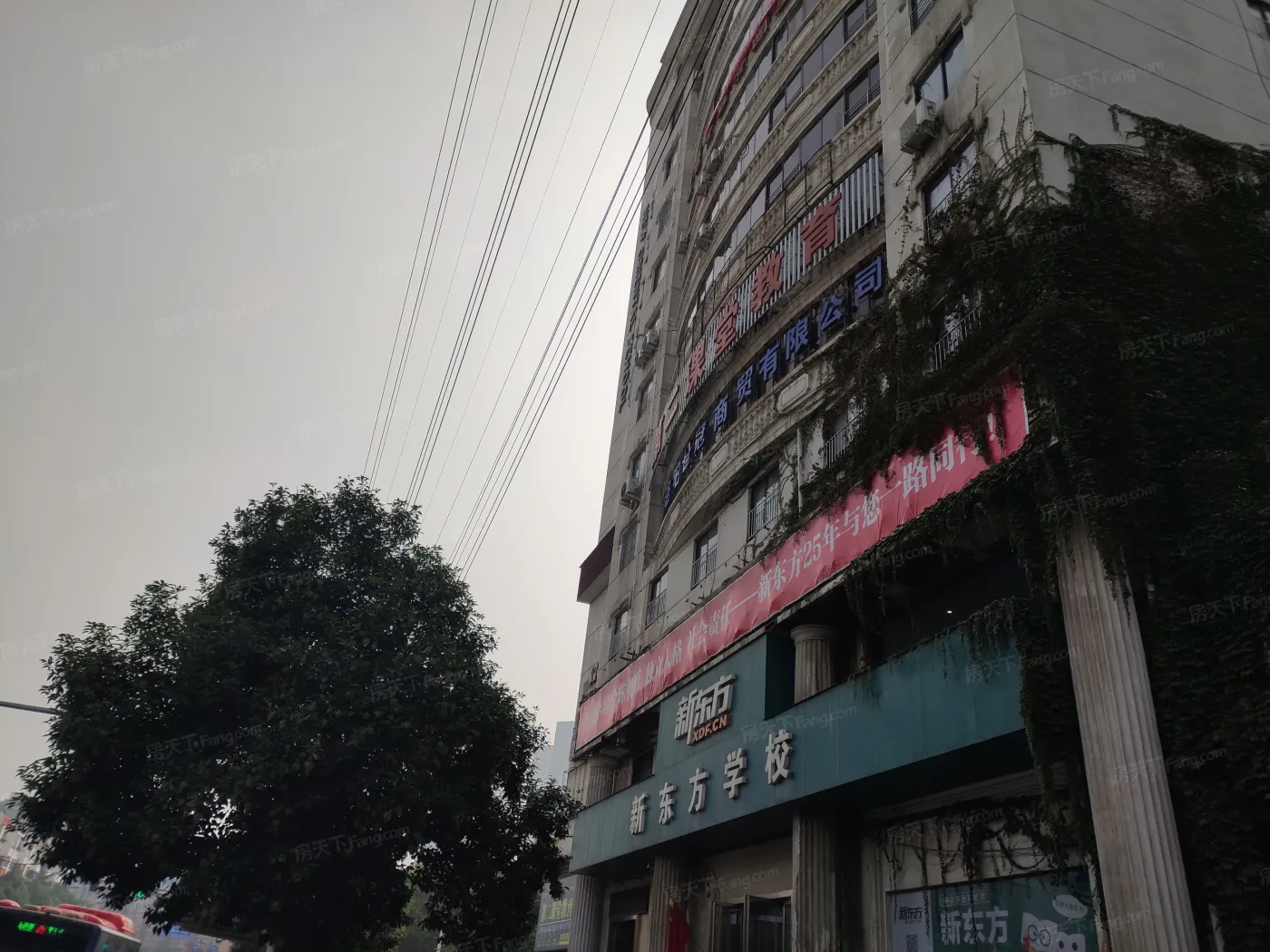 银税楼1室1卫北朝向1200.00元/月出租
