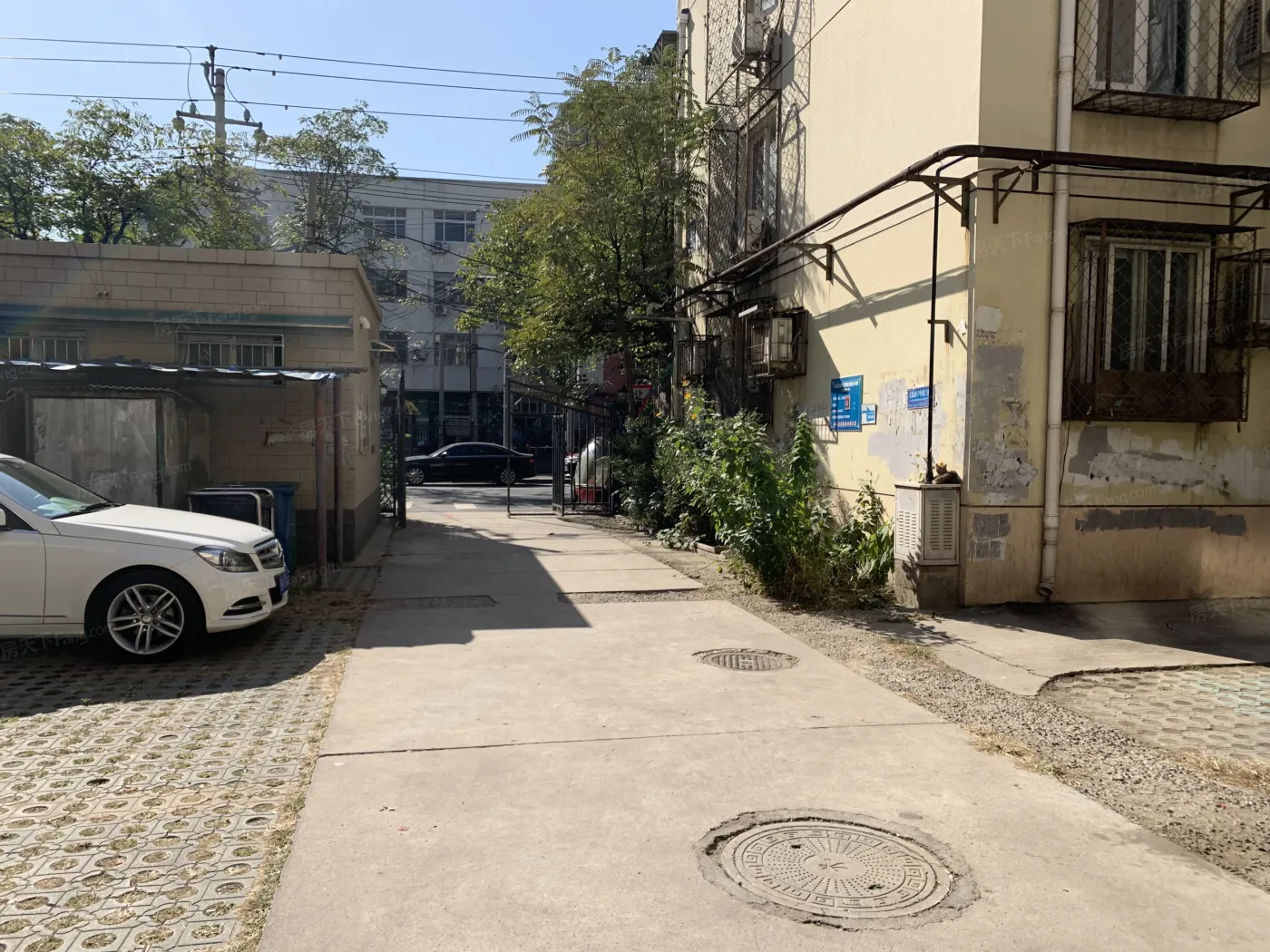 近园路小区3室1厅1卫东南朝向6500.00元/月出租