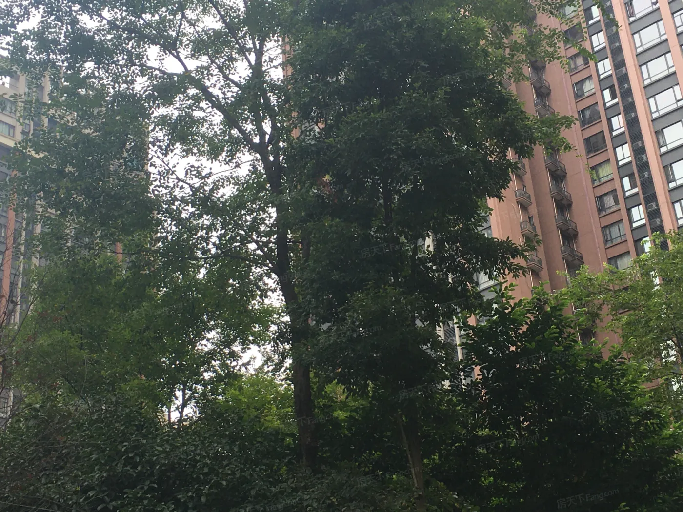 华润二十四城五期3室2厅2卫东南朝向3800.00元/月出租