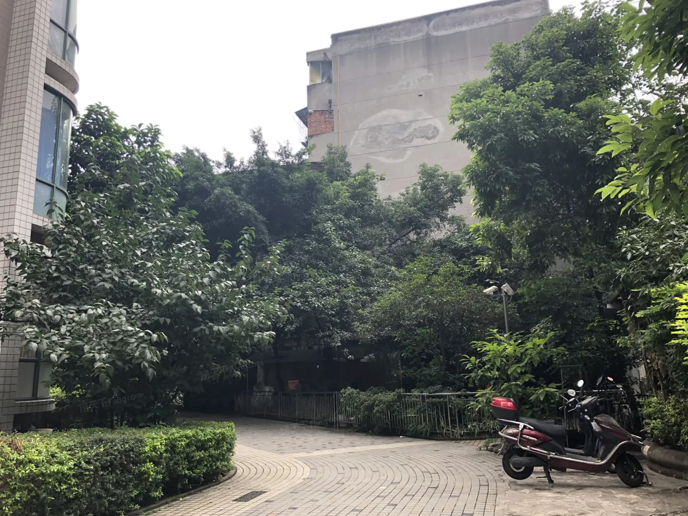 美领居2室1厅1卫南北朝向2900.00元/月出租