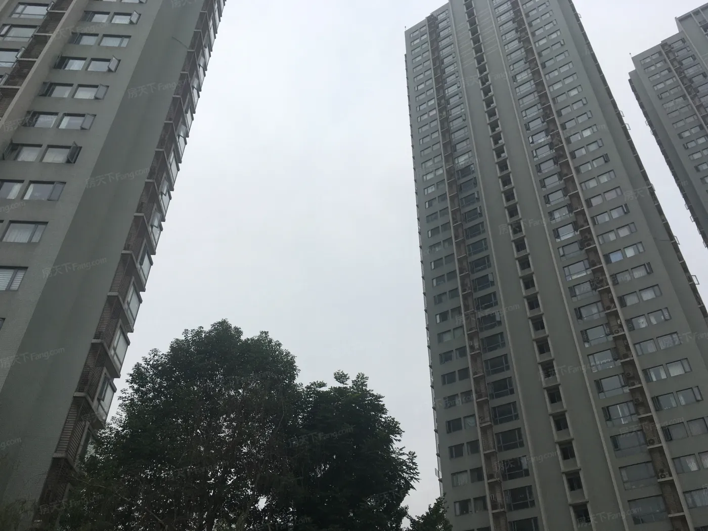 云水苑实景图
