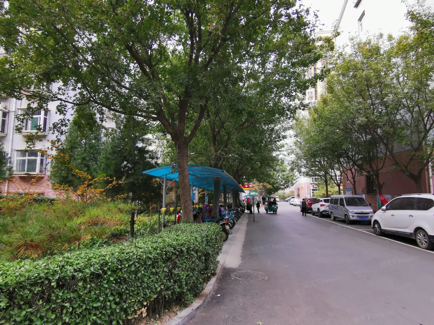 分水岭小区2室2厅1卫南朝向1300.00元/月出租