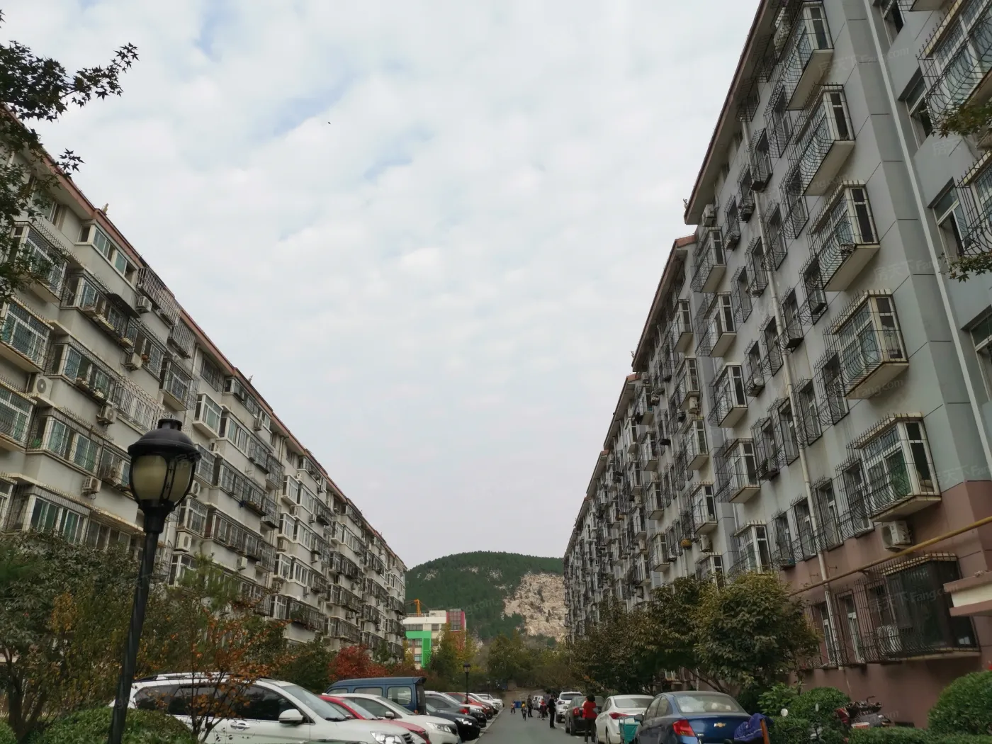 分水岭小区3室2厅1卫南朝向1800.00元/月出租