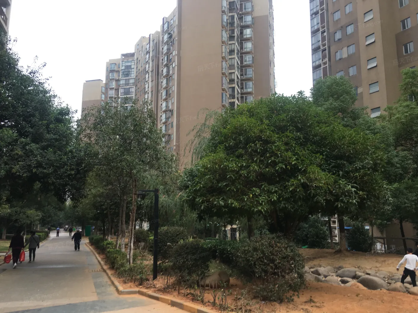 整租·西街锦宸 3室2厅 南